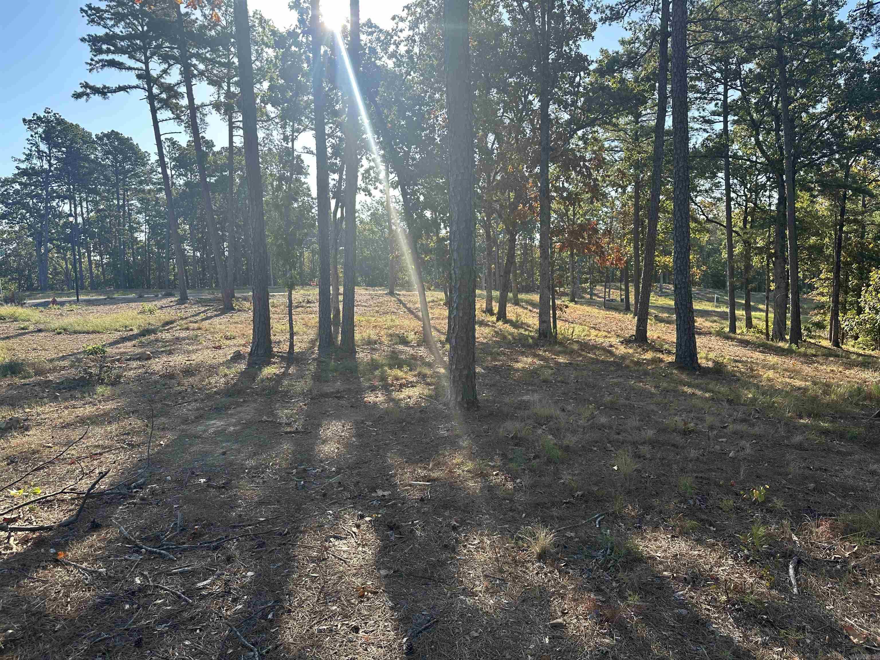 2915  Orchard View  Conway, AR