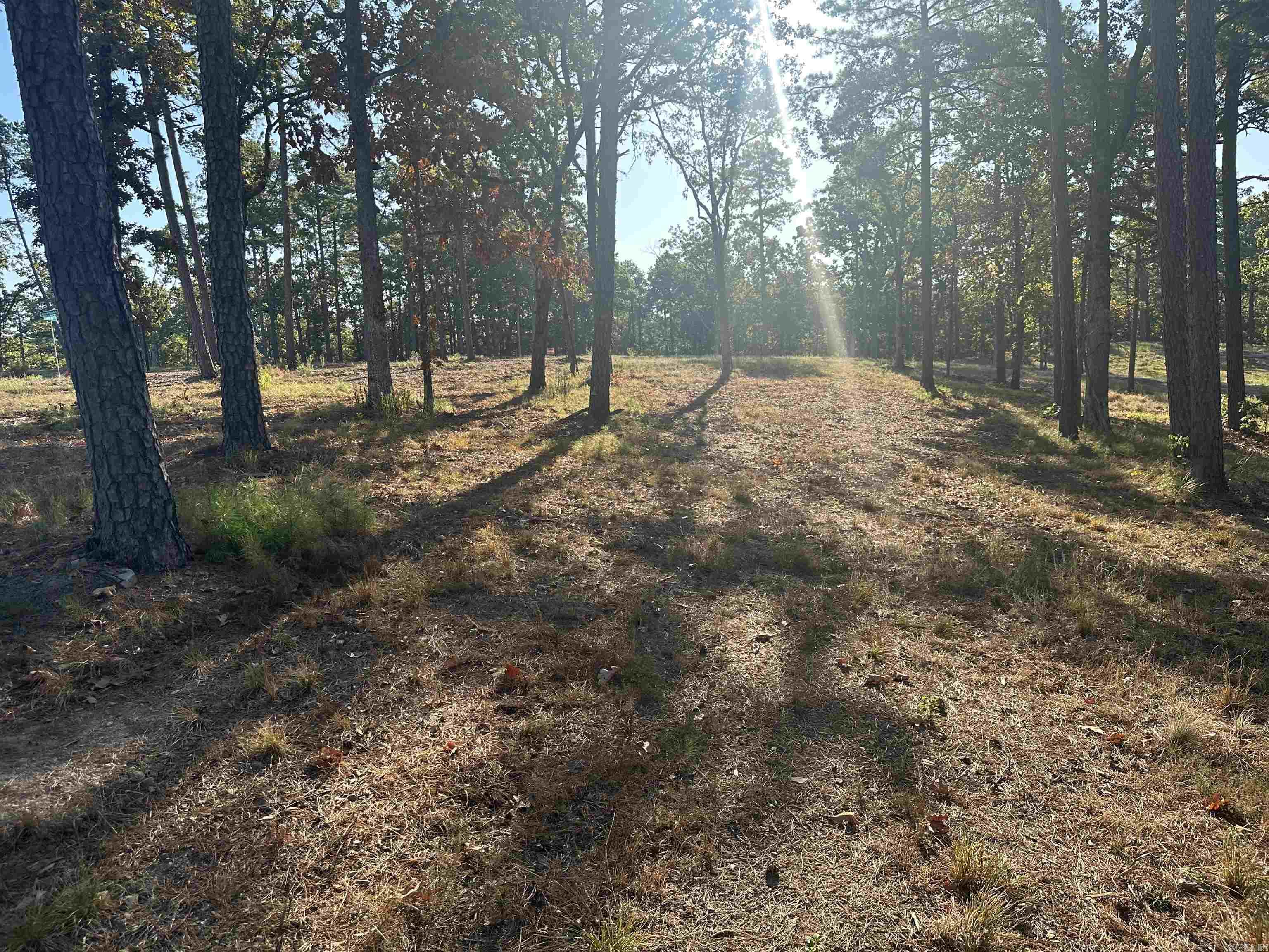 2915  Orchard View  Conway, AR