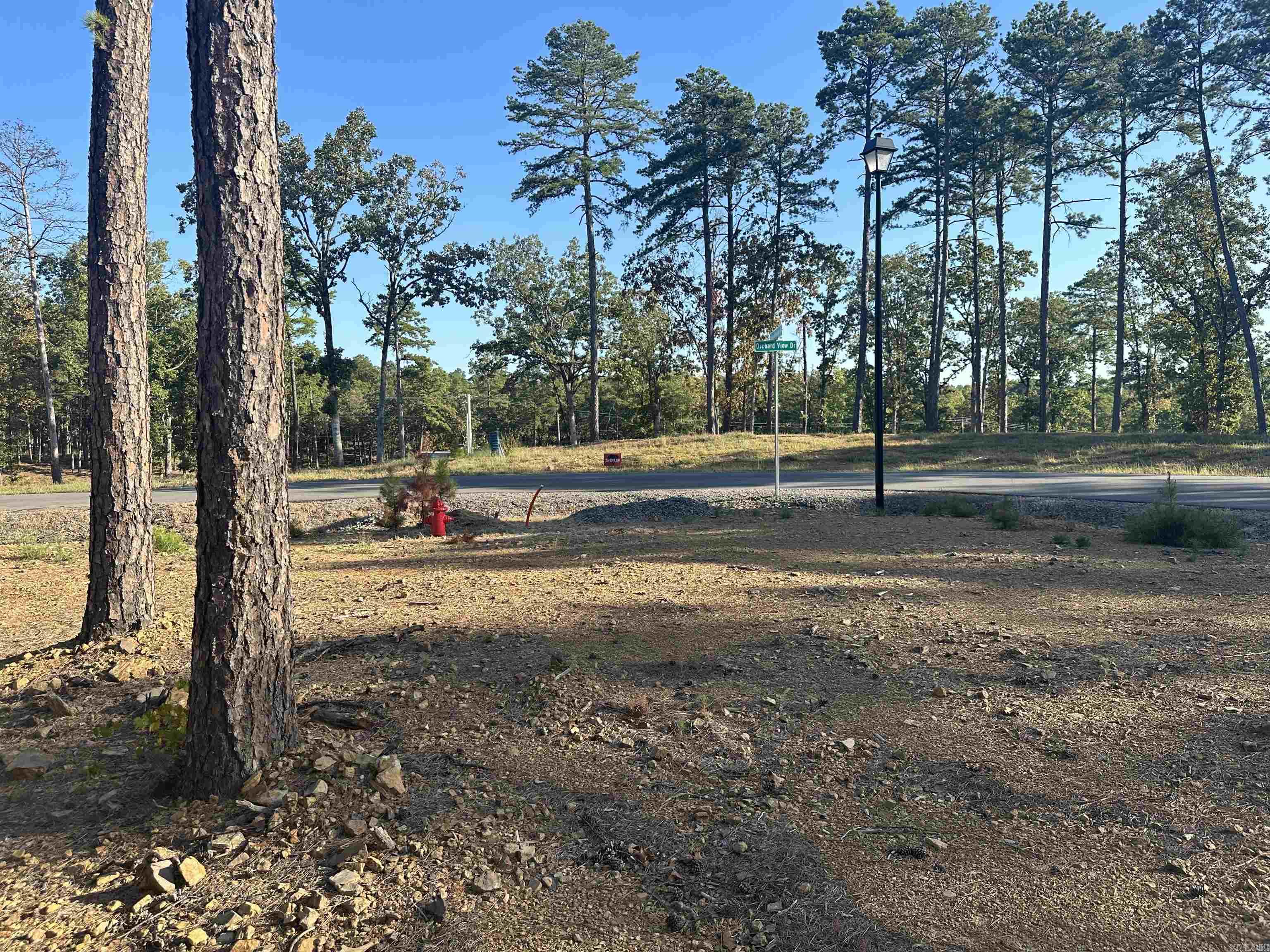 2915  Orchard View  Conway, AR