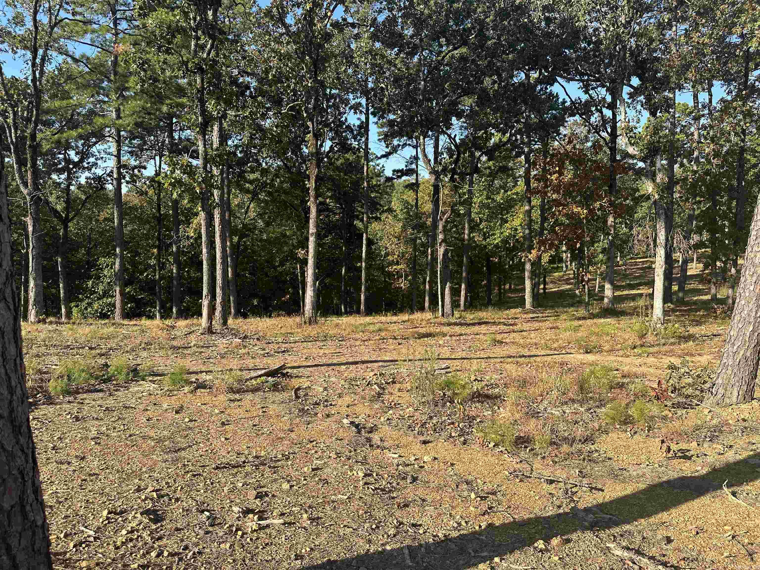 2915  Orchard View  Conway, AR