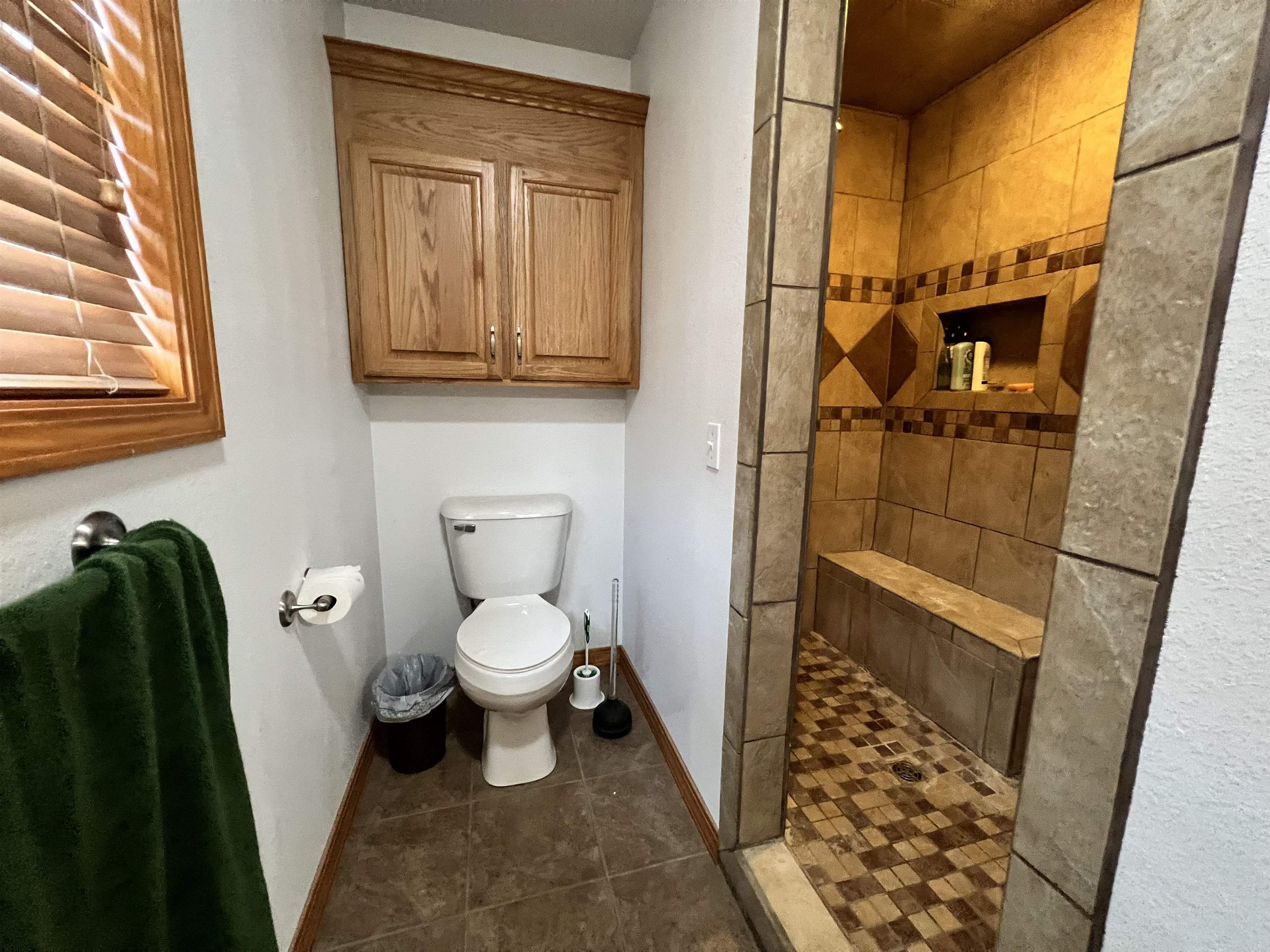 1676  Moonlight  Mammoth Spring, AR