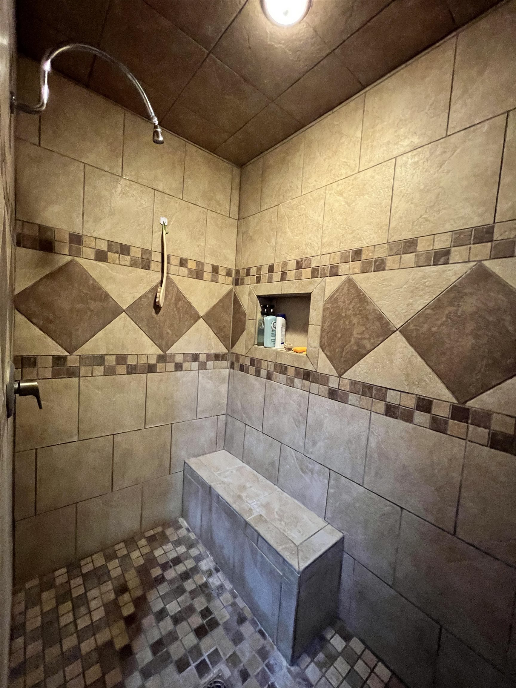 1676  Moonlight  Mammoth Spring, AR