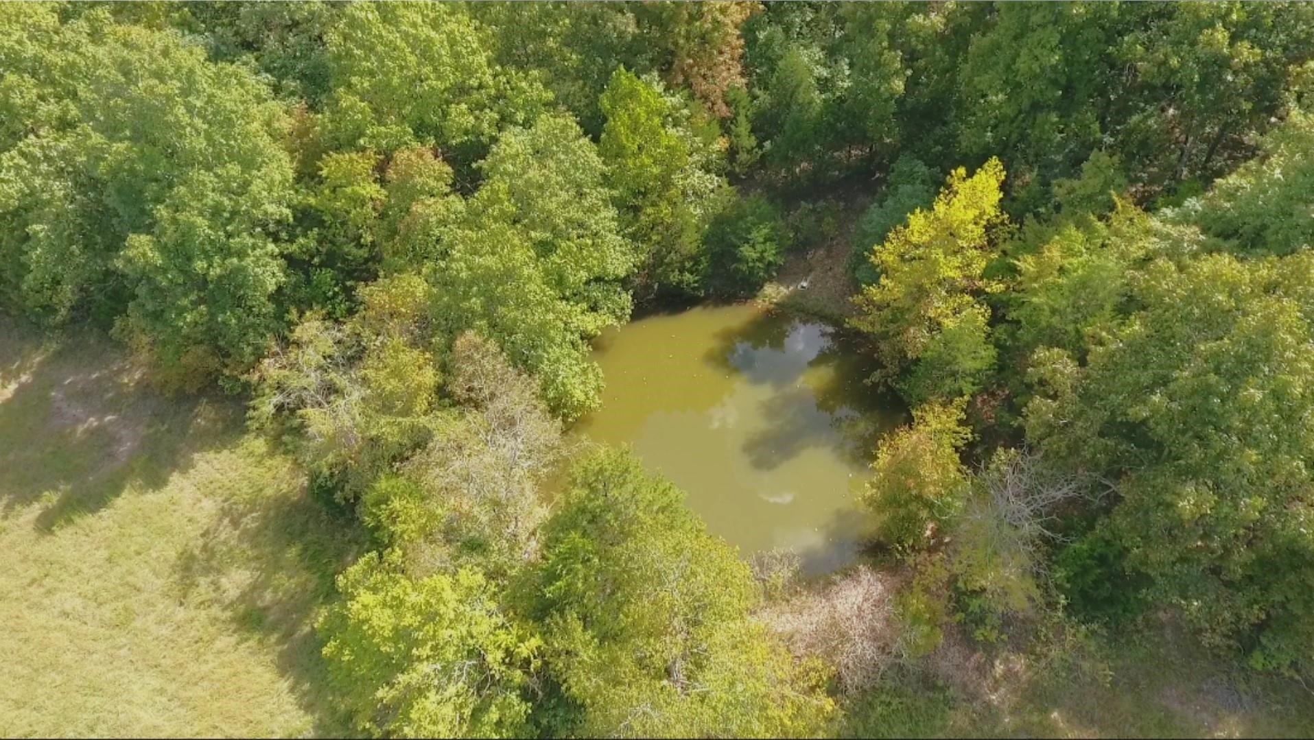 1676  Moonlight  Mammoth Spring, AR