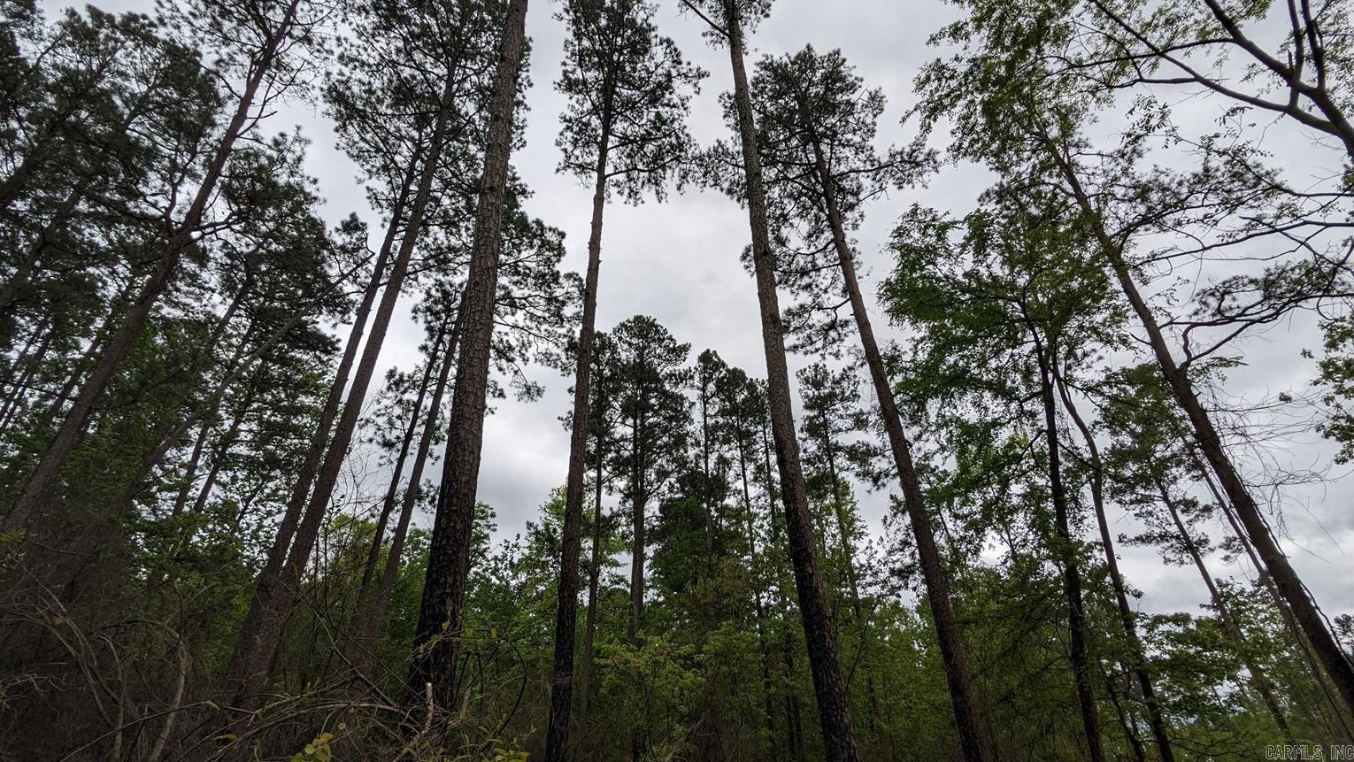 35 acres  Petit Jean Mtn  Morrilton, AR