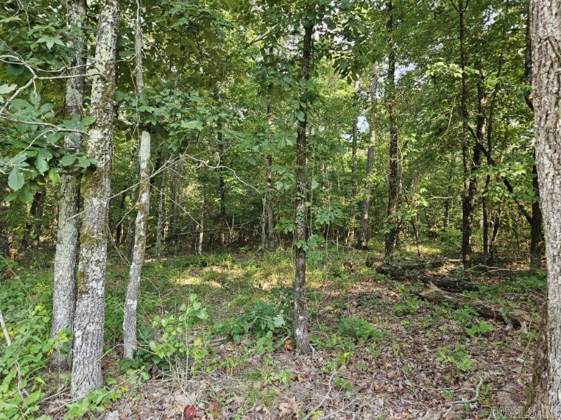 35 acres  Petit Jean Mtn  Morrilton, AR