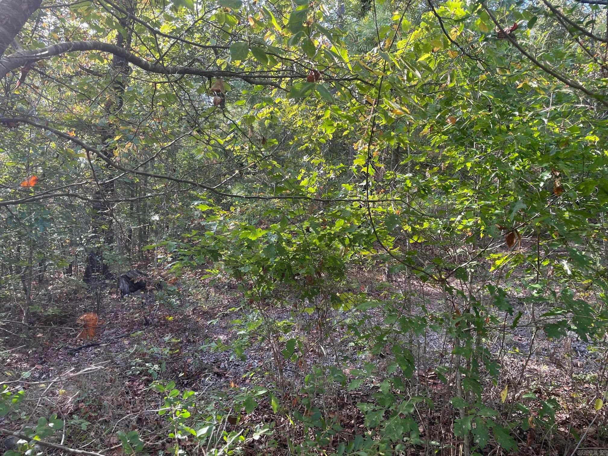 TBD  Oak Creek  Hot Springs, AR