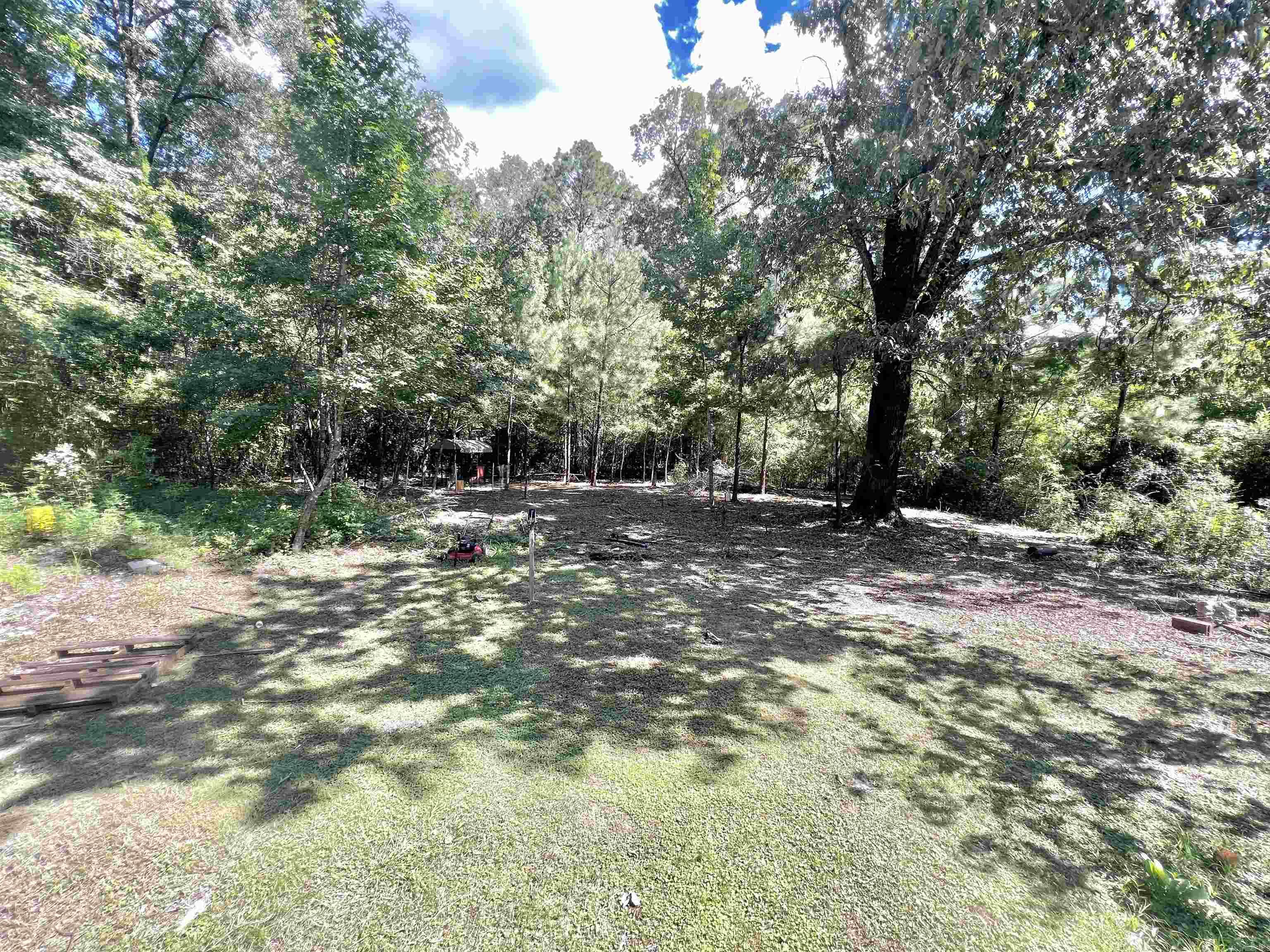 542  Hoover  Calion, AR