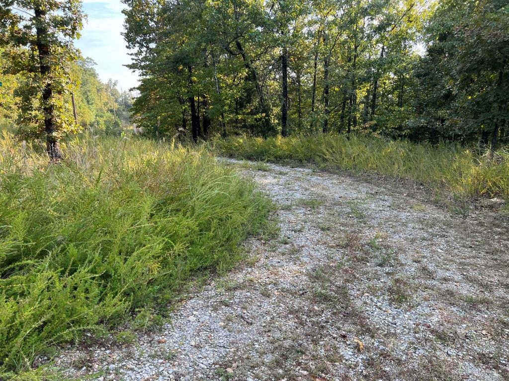 xx  Inca Hardy, AR 72542 Cherokee Village, AR