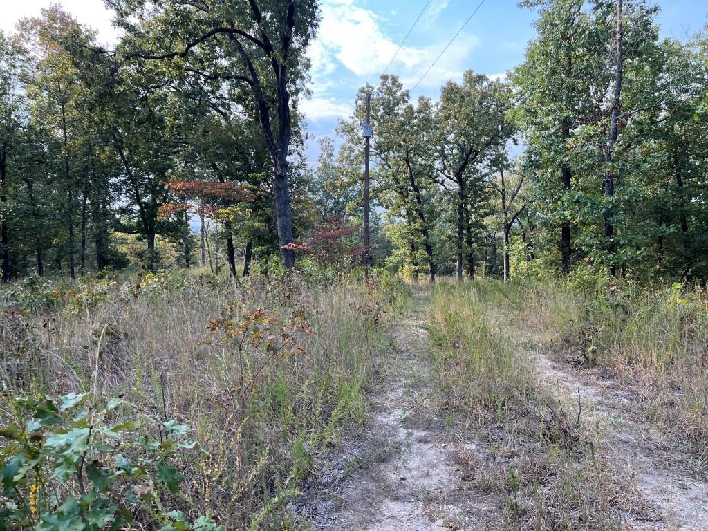 xx  Inca Hardy, AR 72542 Cherokee Village, AR