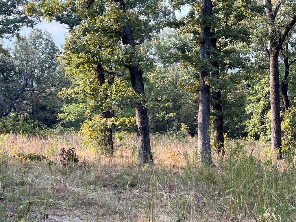 xx  Inca Hardy, AR 72542 Cherokee Village, AR