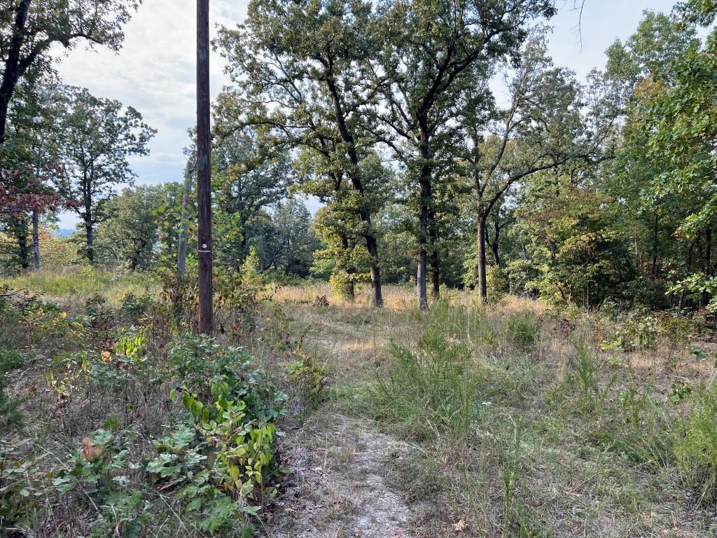 xx  Inca Hardy, AR 72542 Cherokee Village, AR
