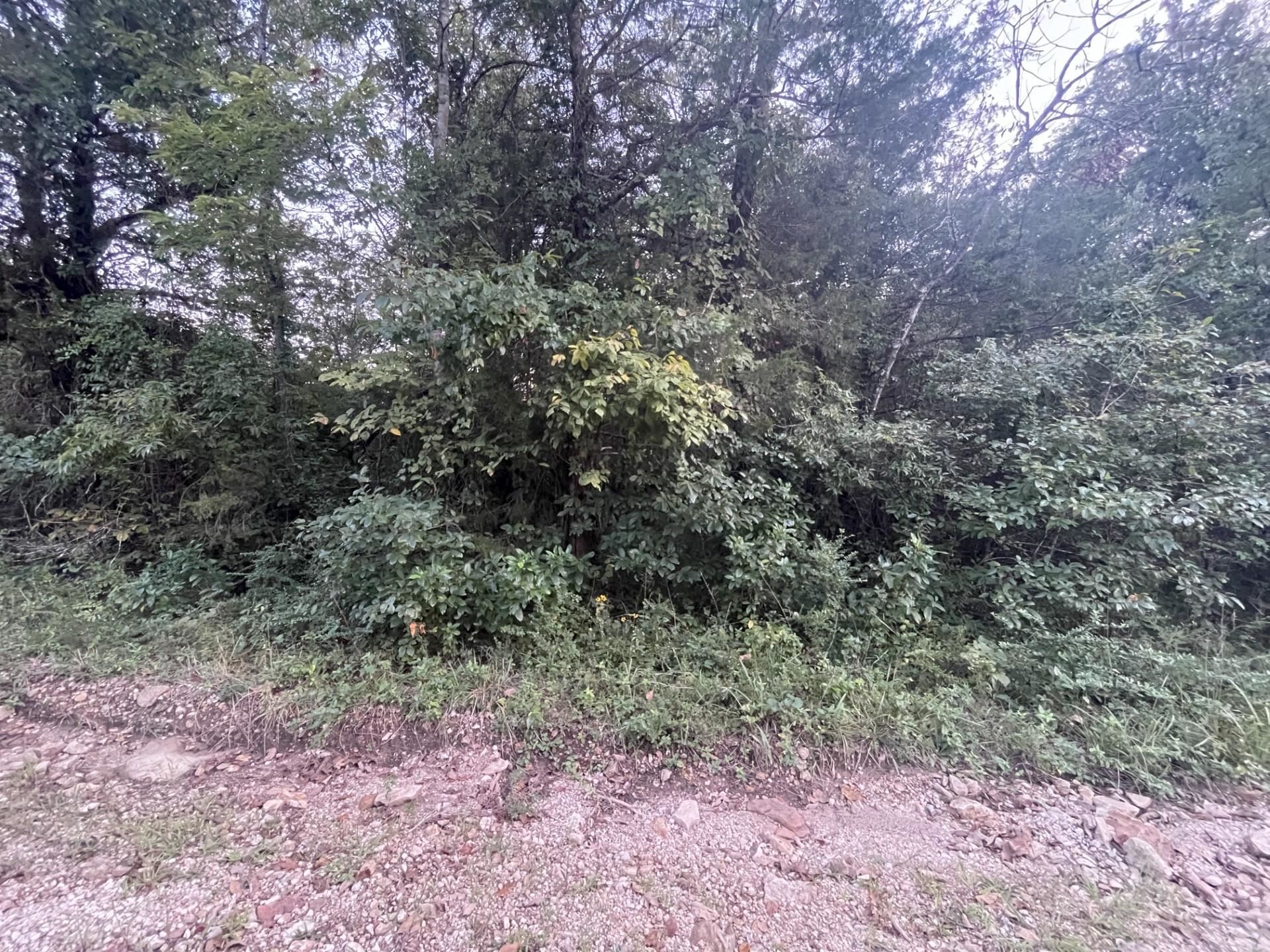 Lot 41  Canary Lane  Diamond City, AR