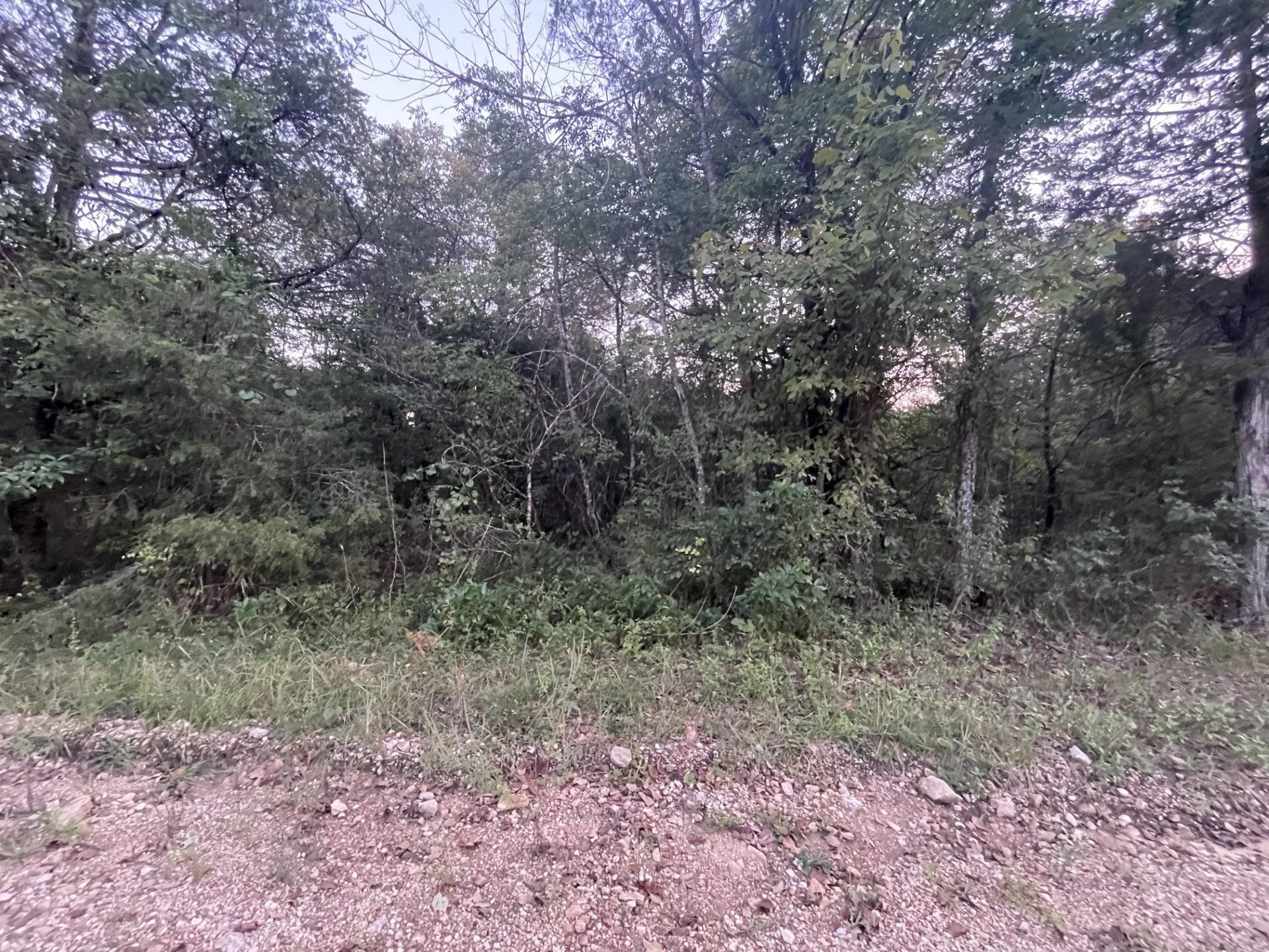 Lot 41  Canary Lane  Diamond City, AR