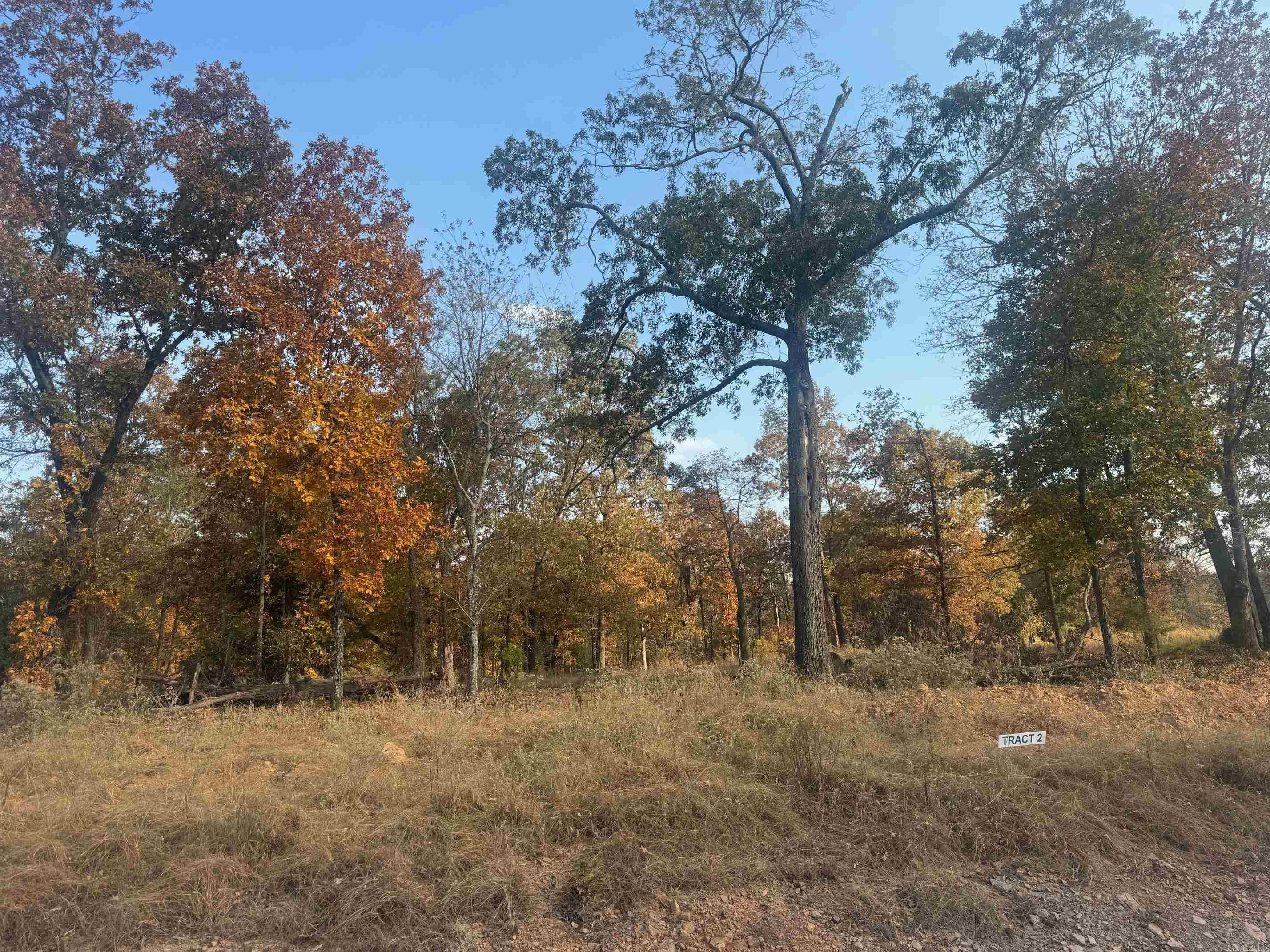 Tract 2  Artesia  Beebe, AR