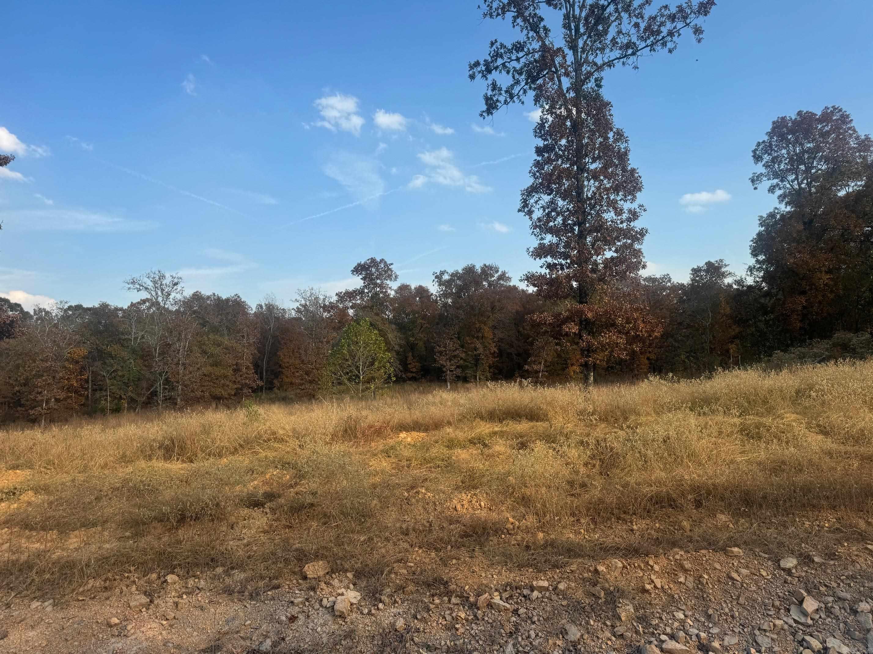 Tract 2  Artesia  Beebe, AR