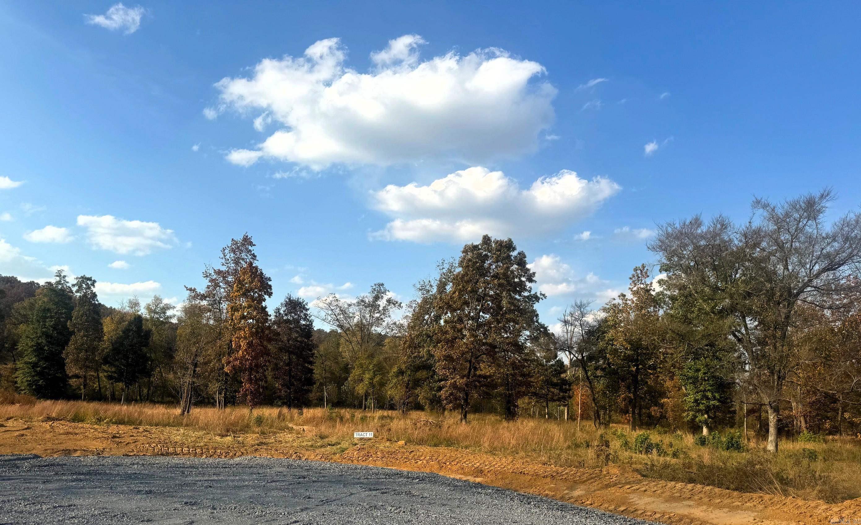 Tract 11  Artesia  Beebe, AR