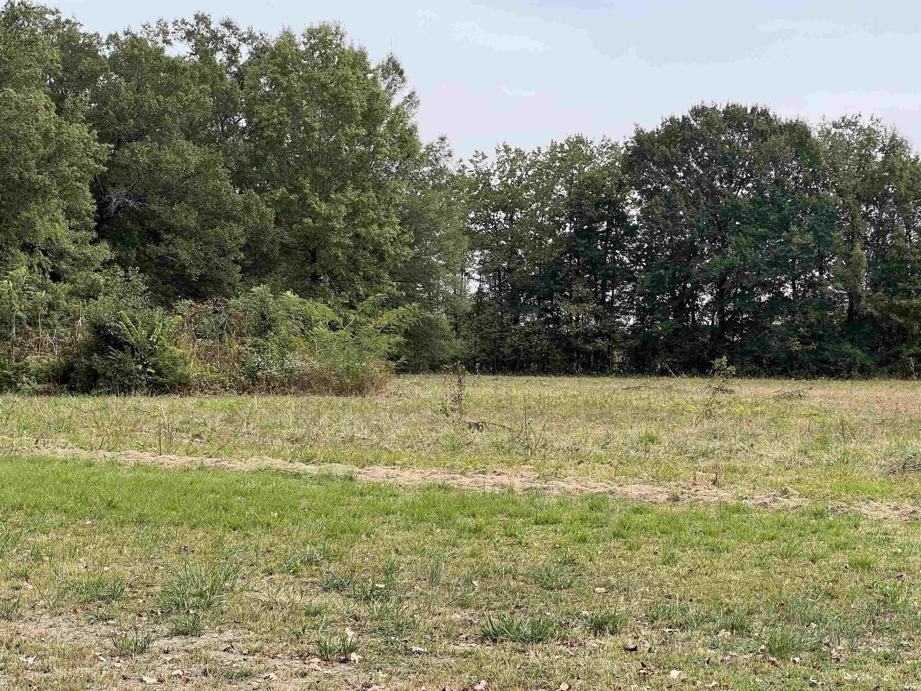 3840 N 167  Bald Knob, AR