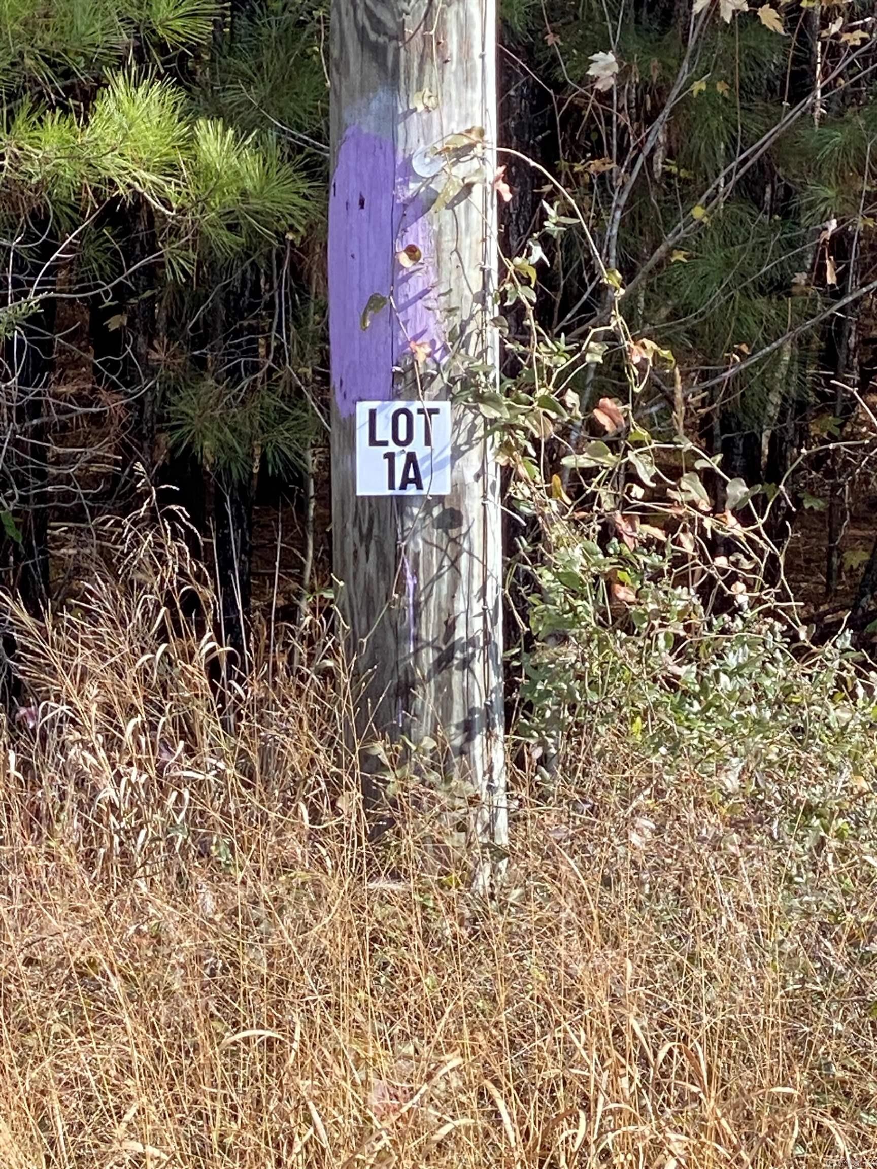 1A Hwy 89