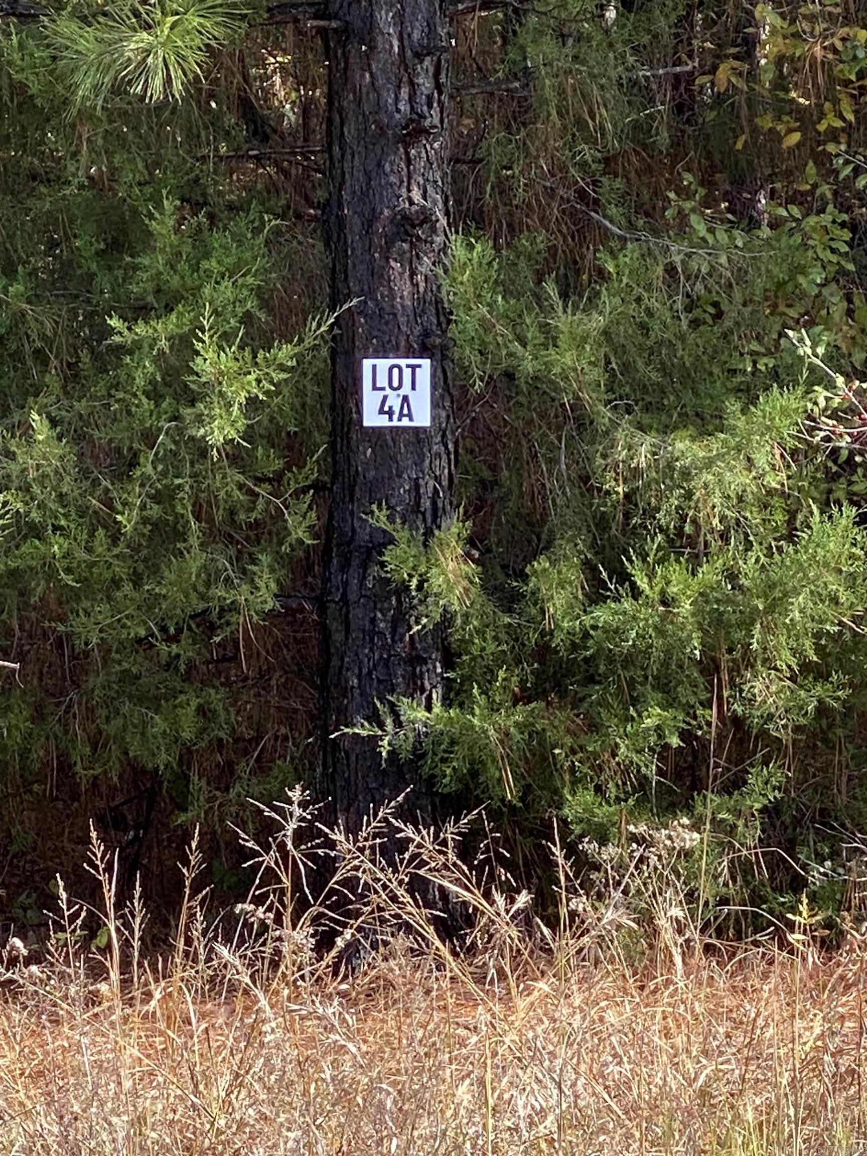 4A Hwy 89