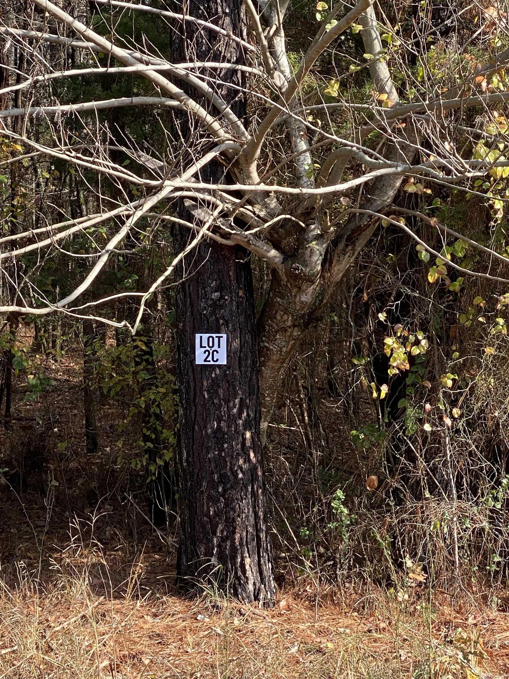2C Hwy 89