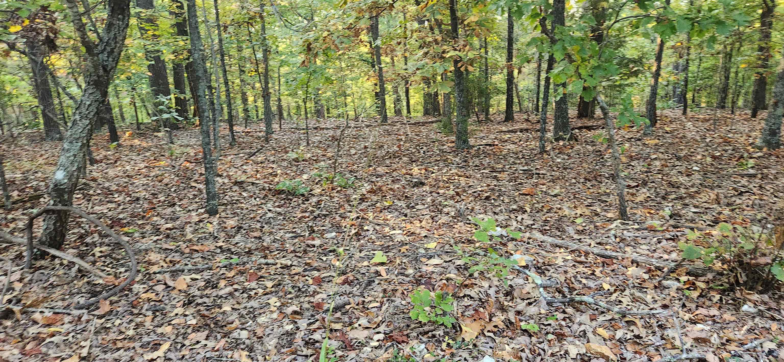 9  Konawa Dr  Cherokee Village, AR