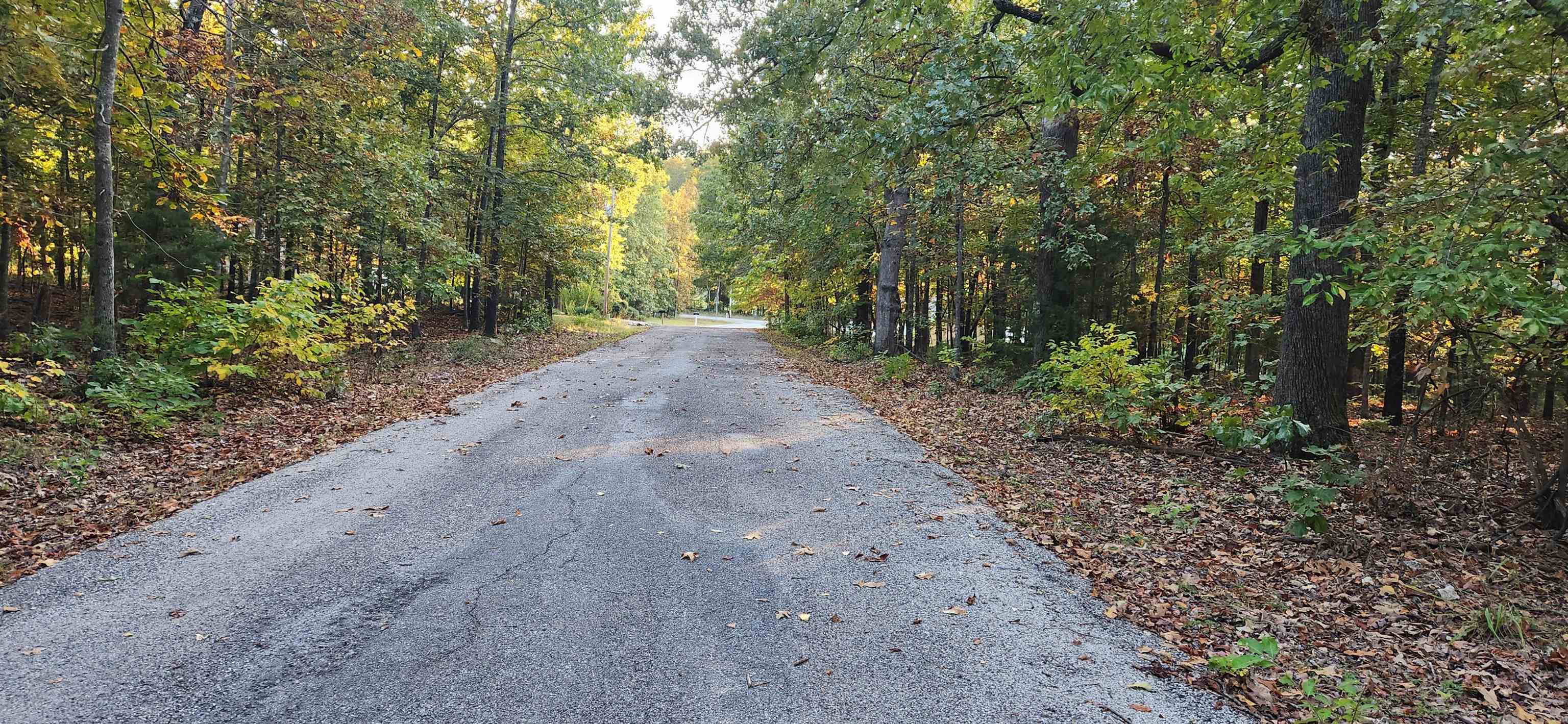 9  Konawa Dr  Cherokee Village, AR