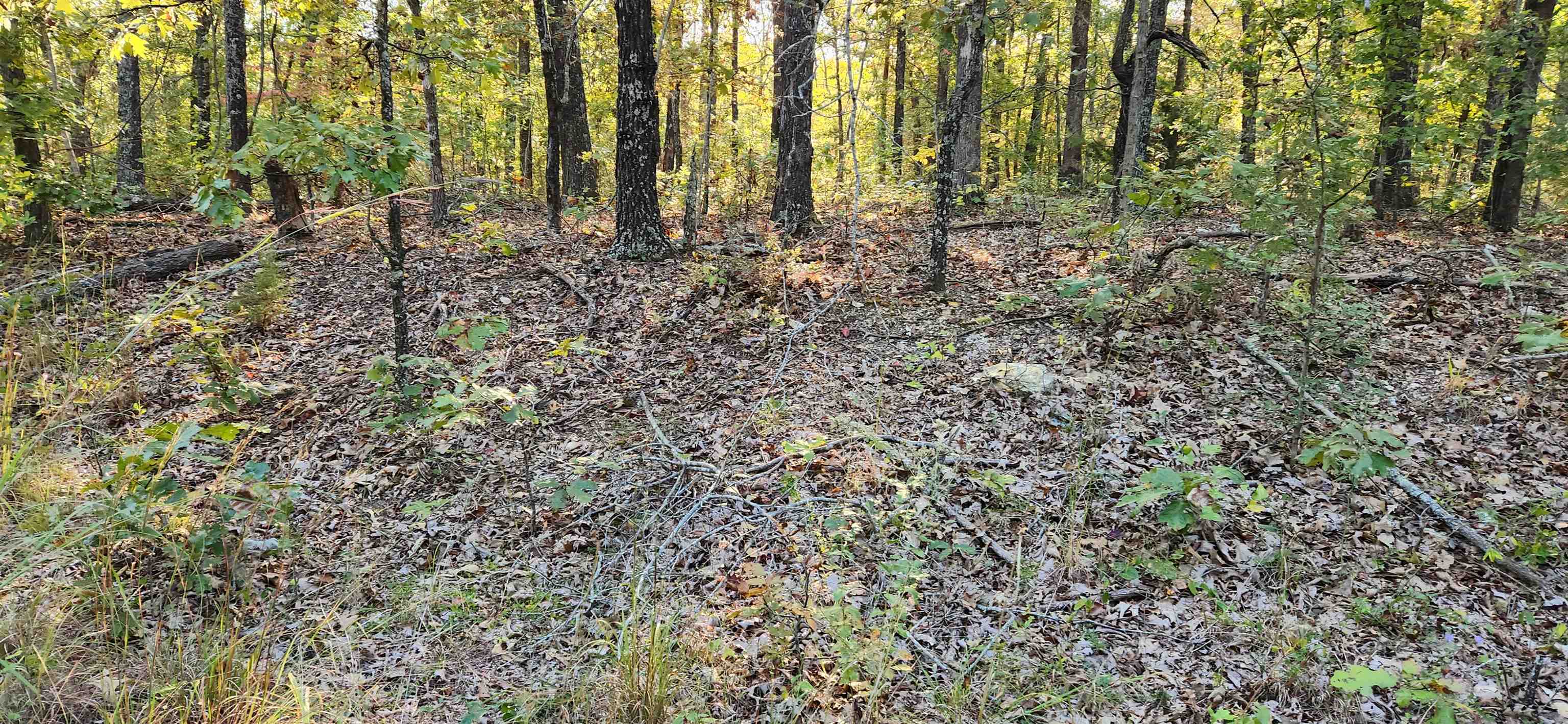 L-1, B-2  Nokona  Cherokee Village, AR