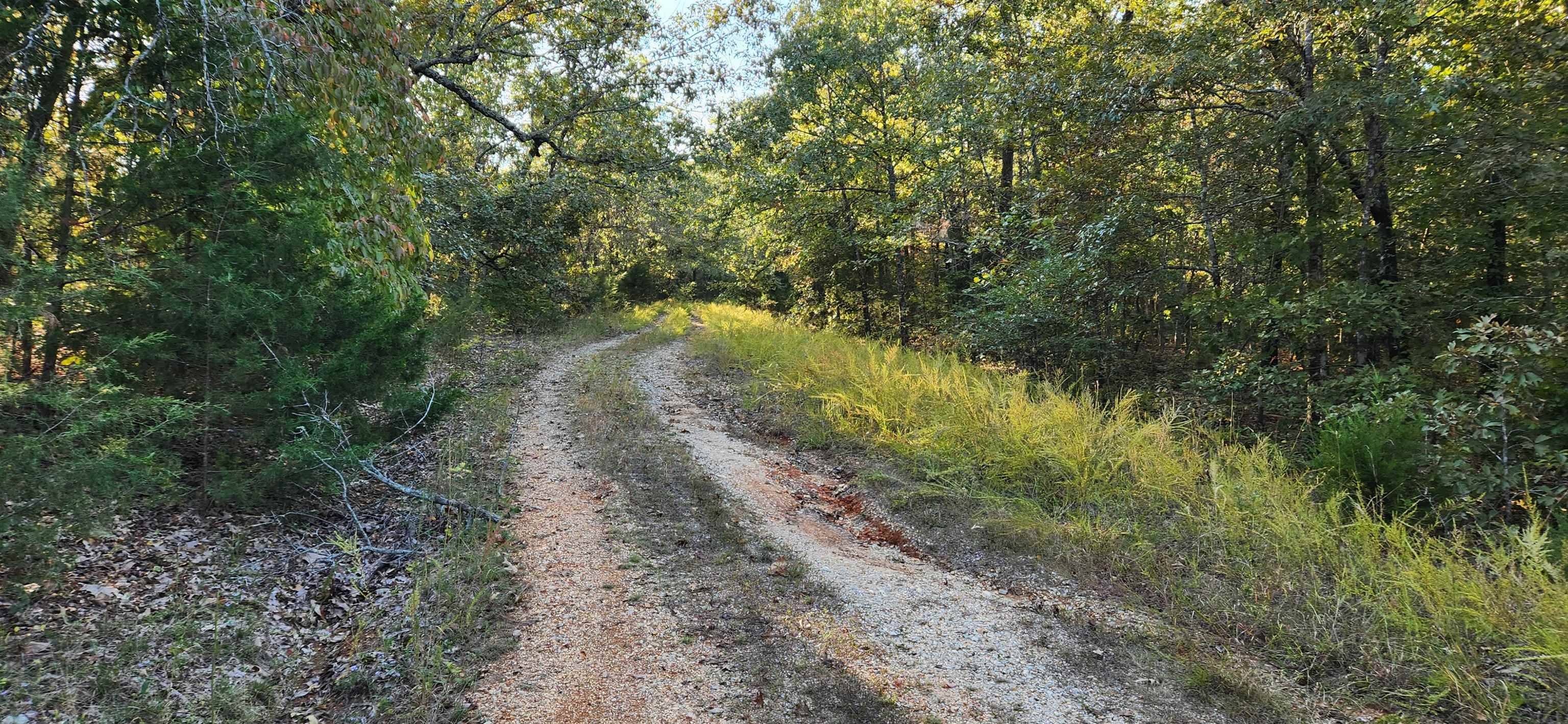 L-1, B-2  Nokona  Cherokee Village, AR