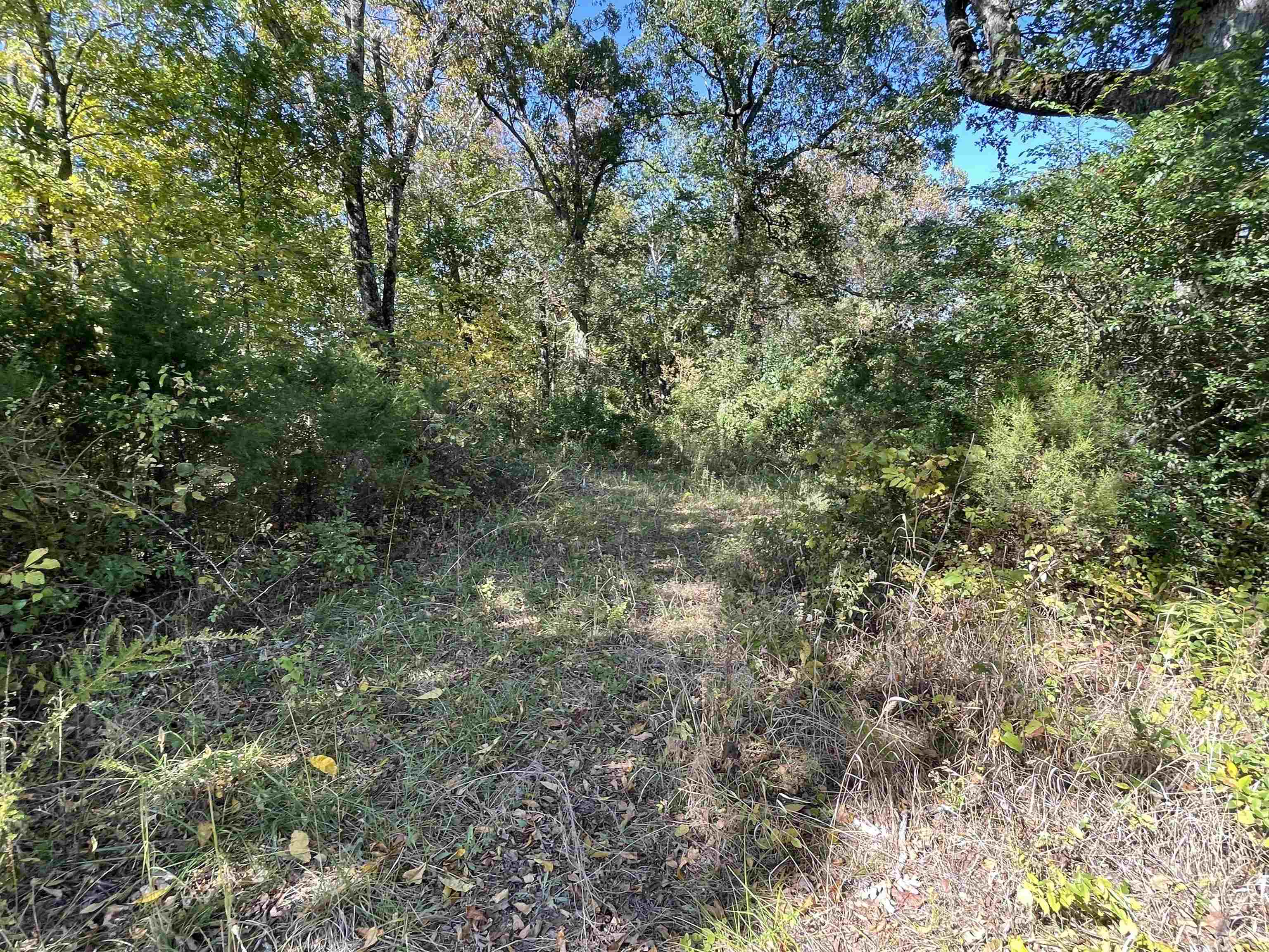 TBD  Nix RIdge  Ash Flat, AR