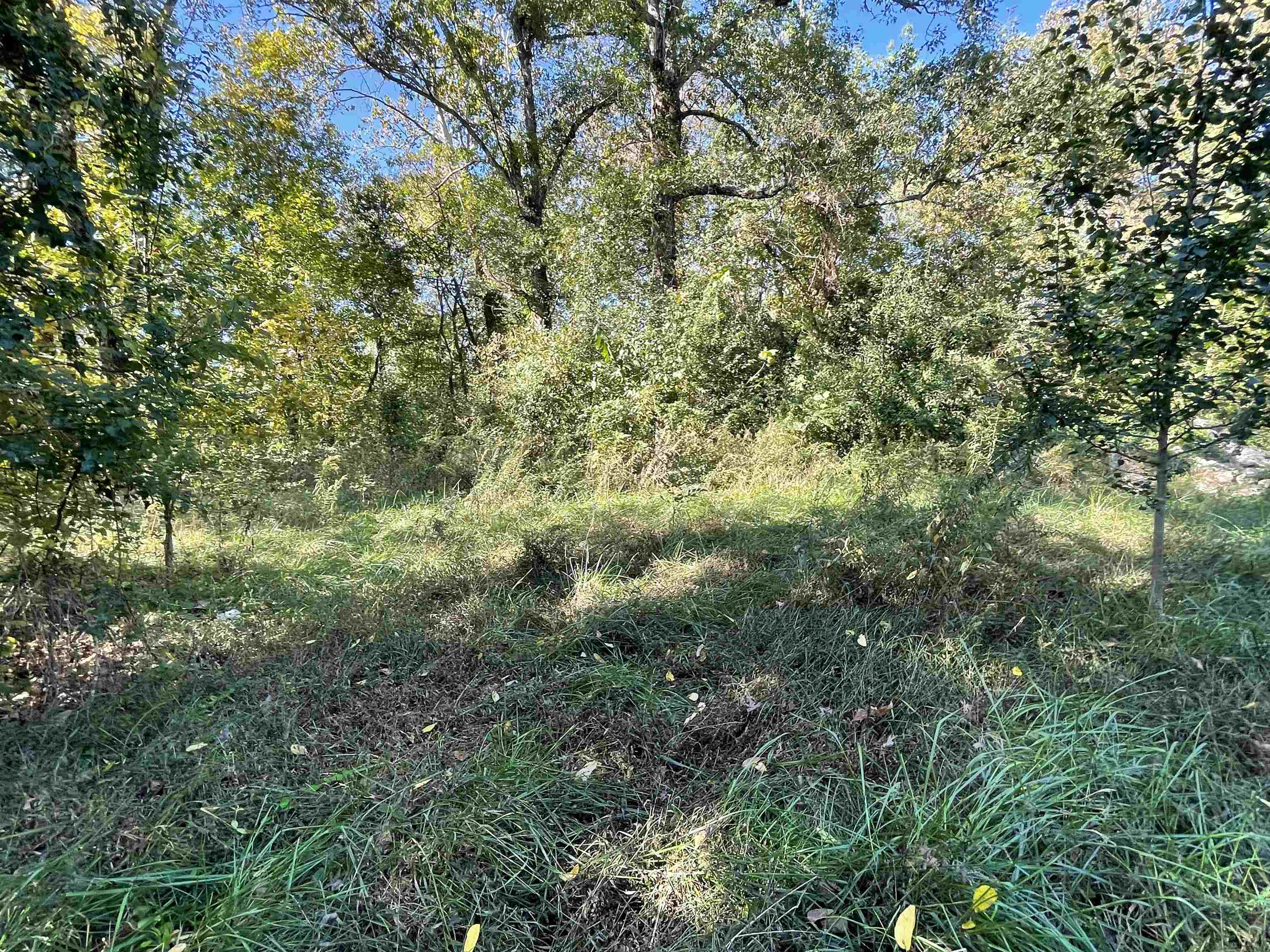 TBD  Nix RIdge  Ash Flat, AR