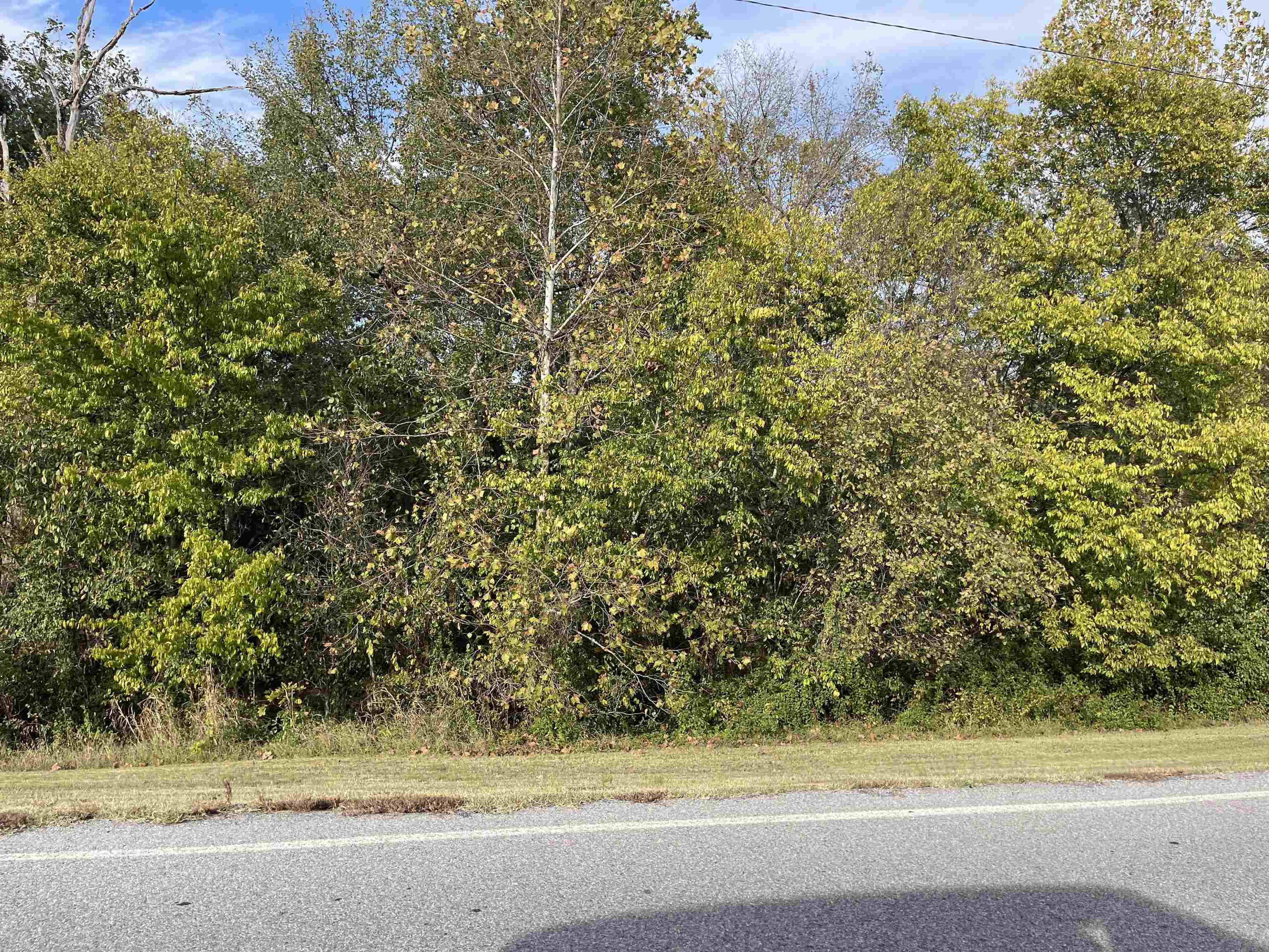 TBD  Nix RIdge  Ash Flat, AR