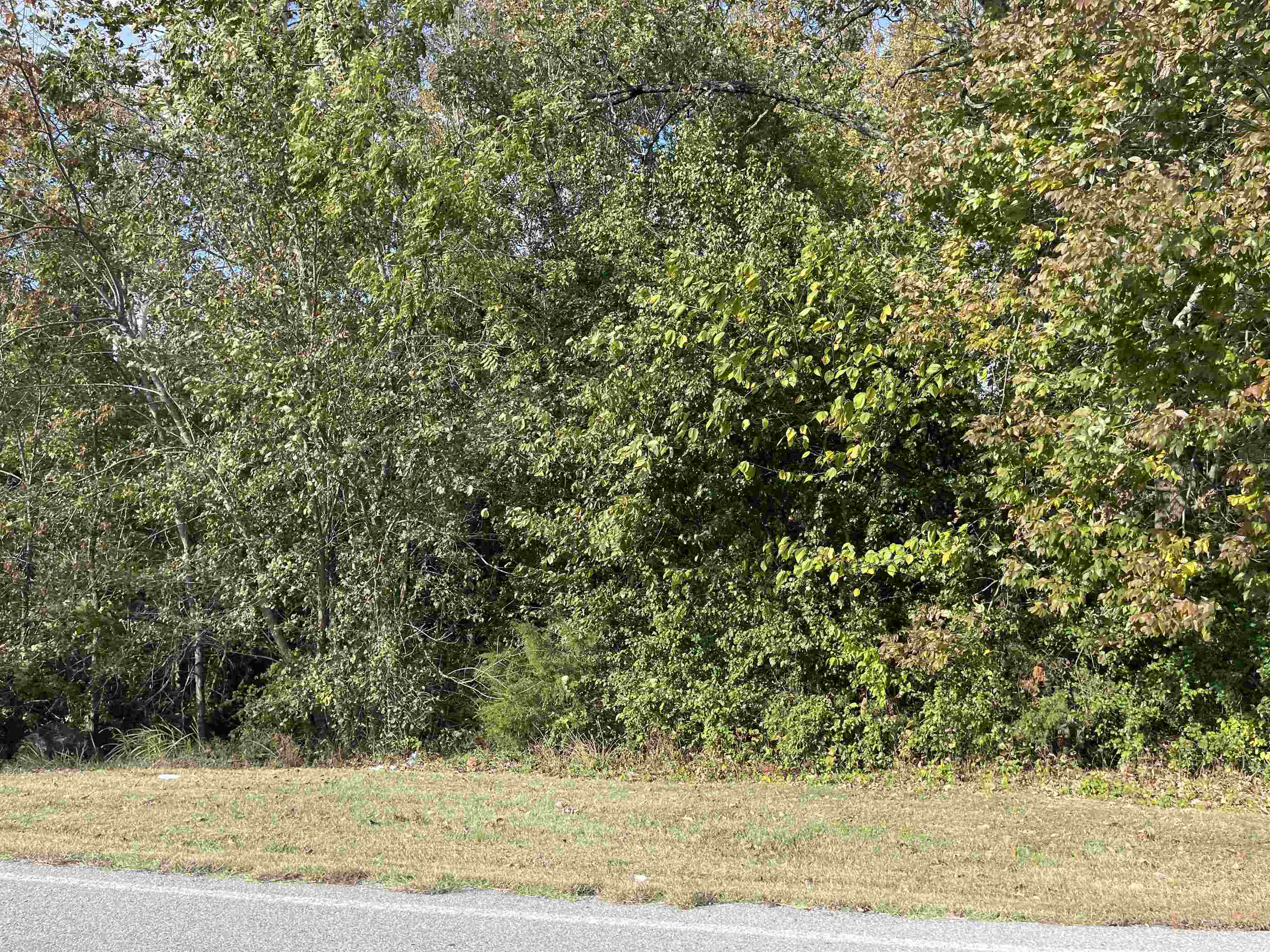 TBD  Nix RIdge  Ash Flat, AR