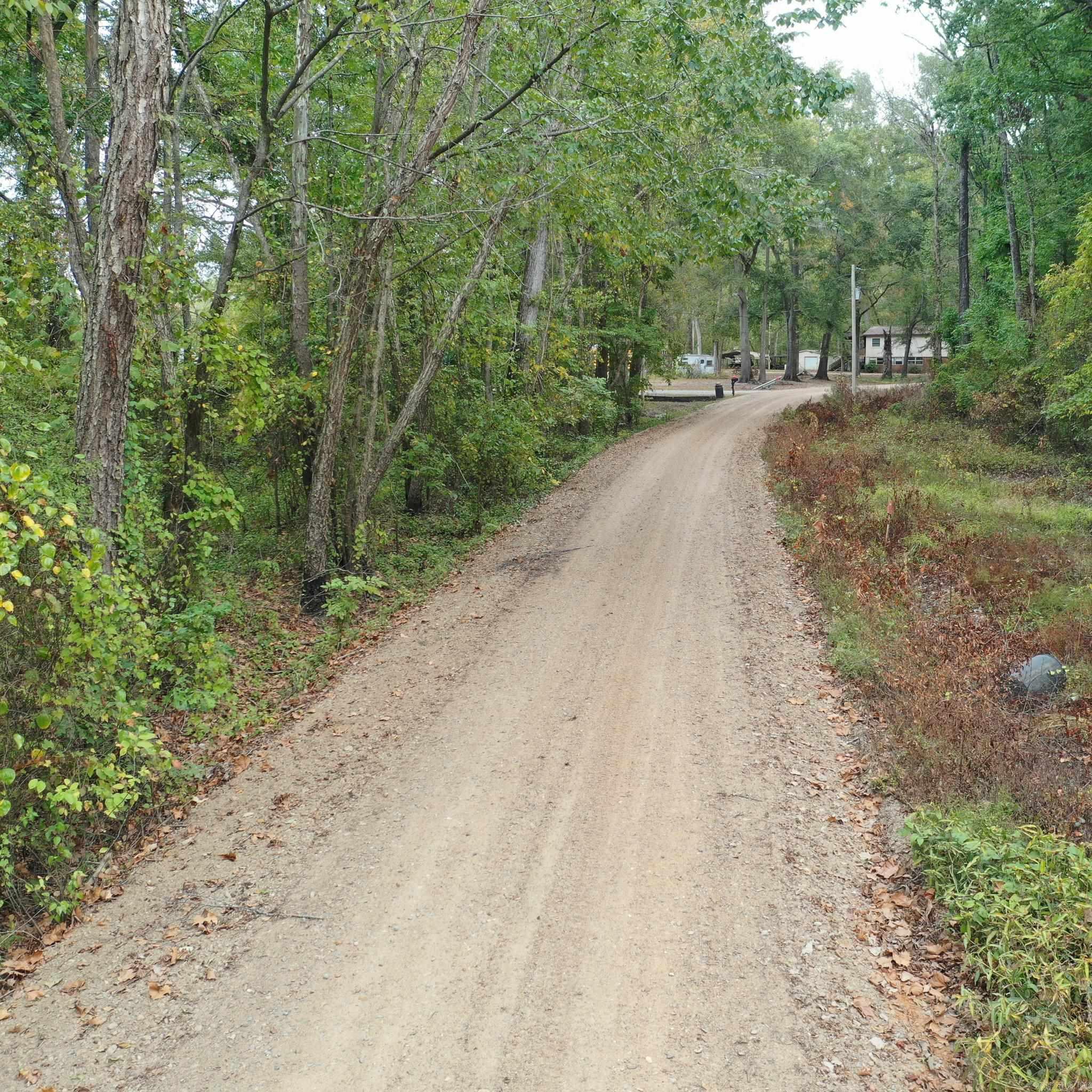   Lower Maddox Bay Rd.  Holly Grove, AR