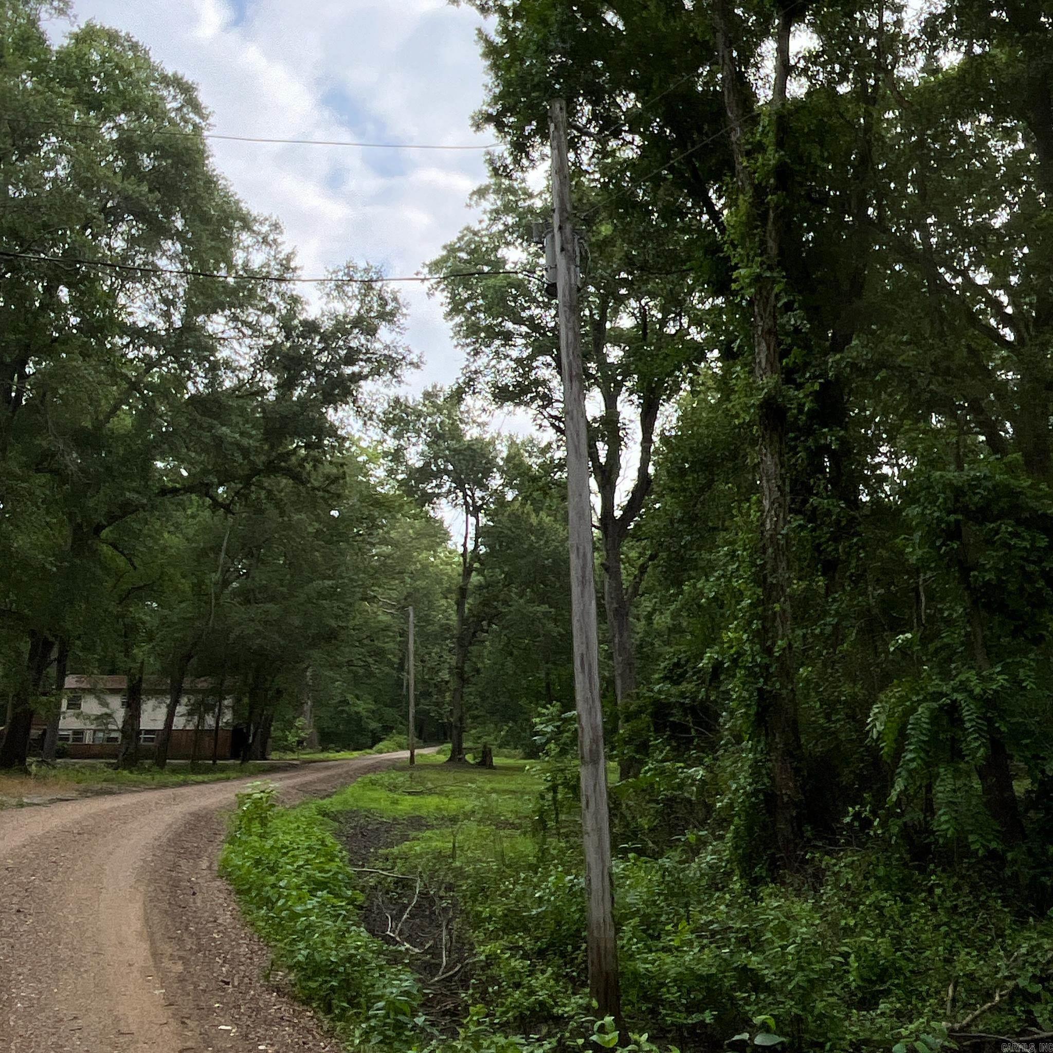   Lower Maddox Bay Rd.  Holly Grove, AR