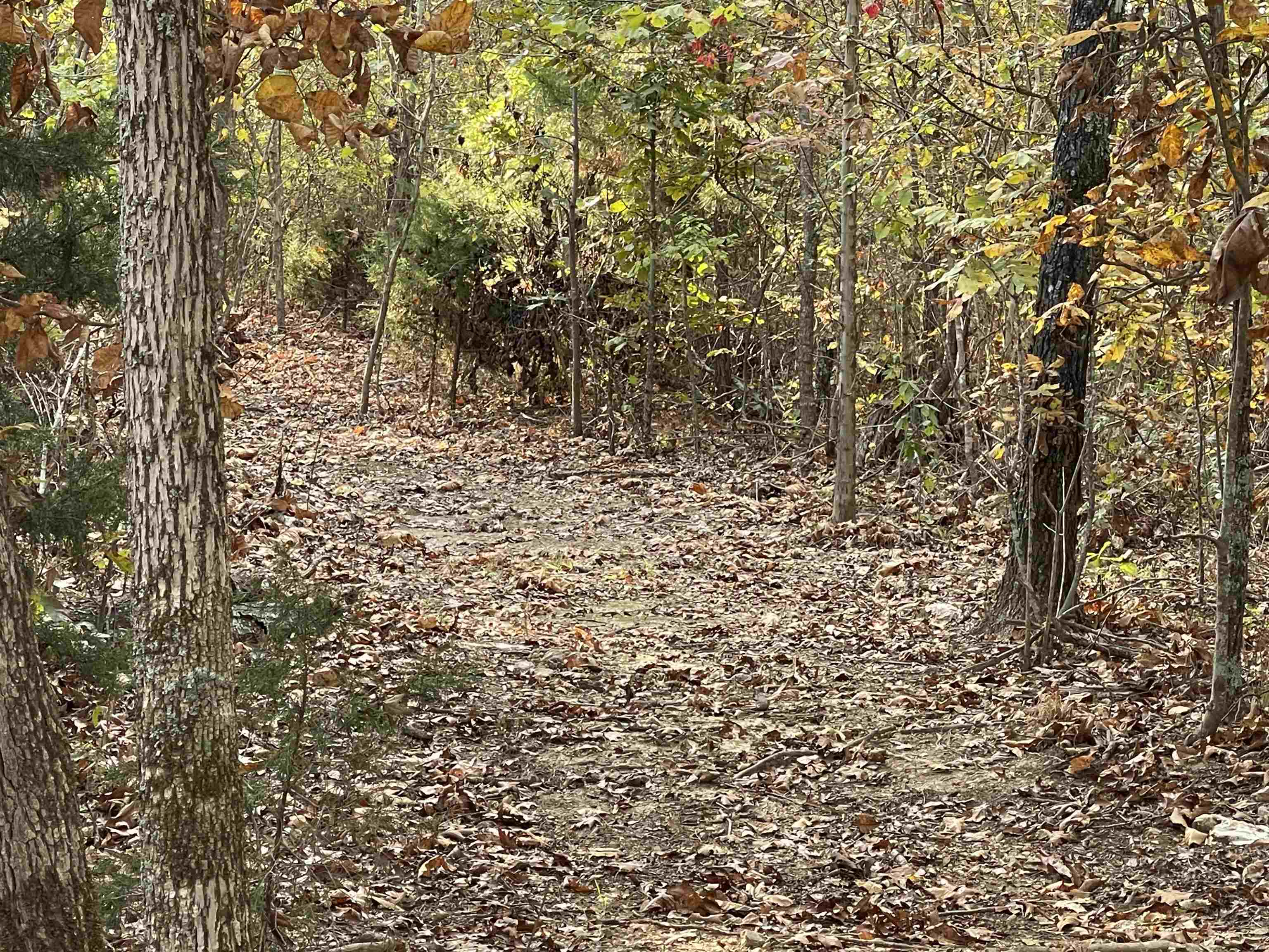 TBD  Lower Janes Creek Road  Ravenden Springs, AR