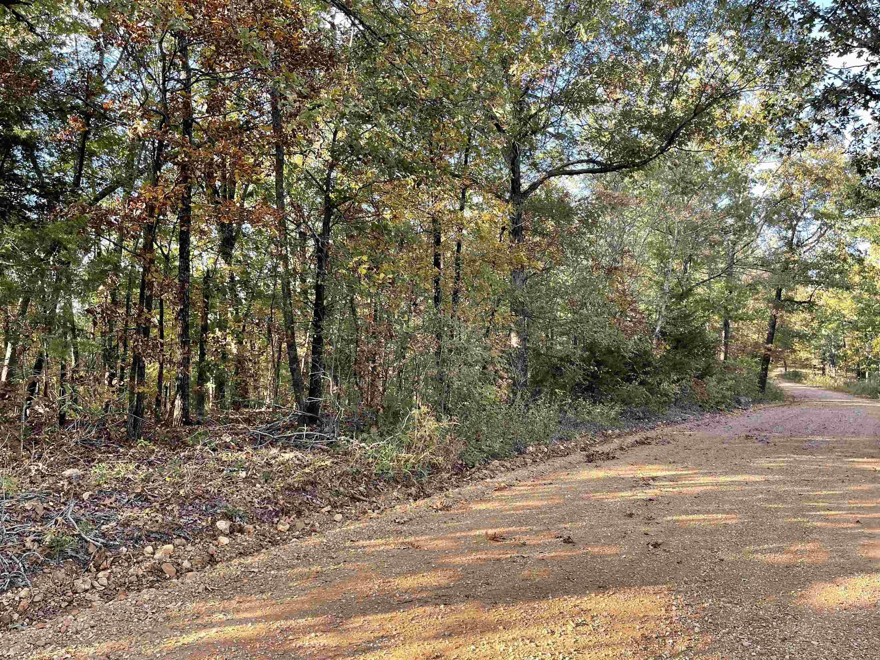 TBD  Lower Janes Creek Road  Ravenden Springs, AR