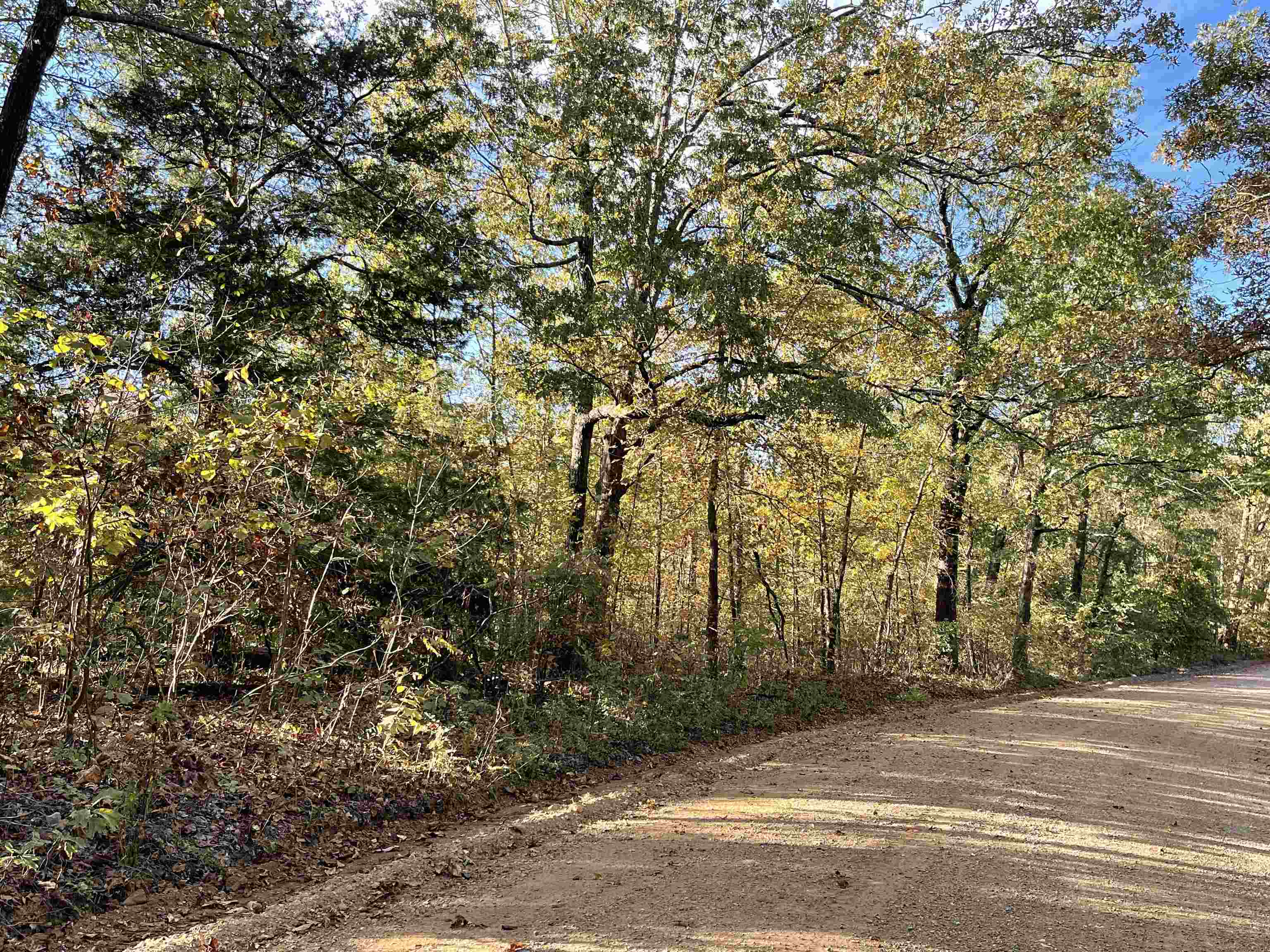 TBD  Lower Janes Creek Road  Ravenden Springs, AR