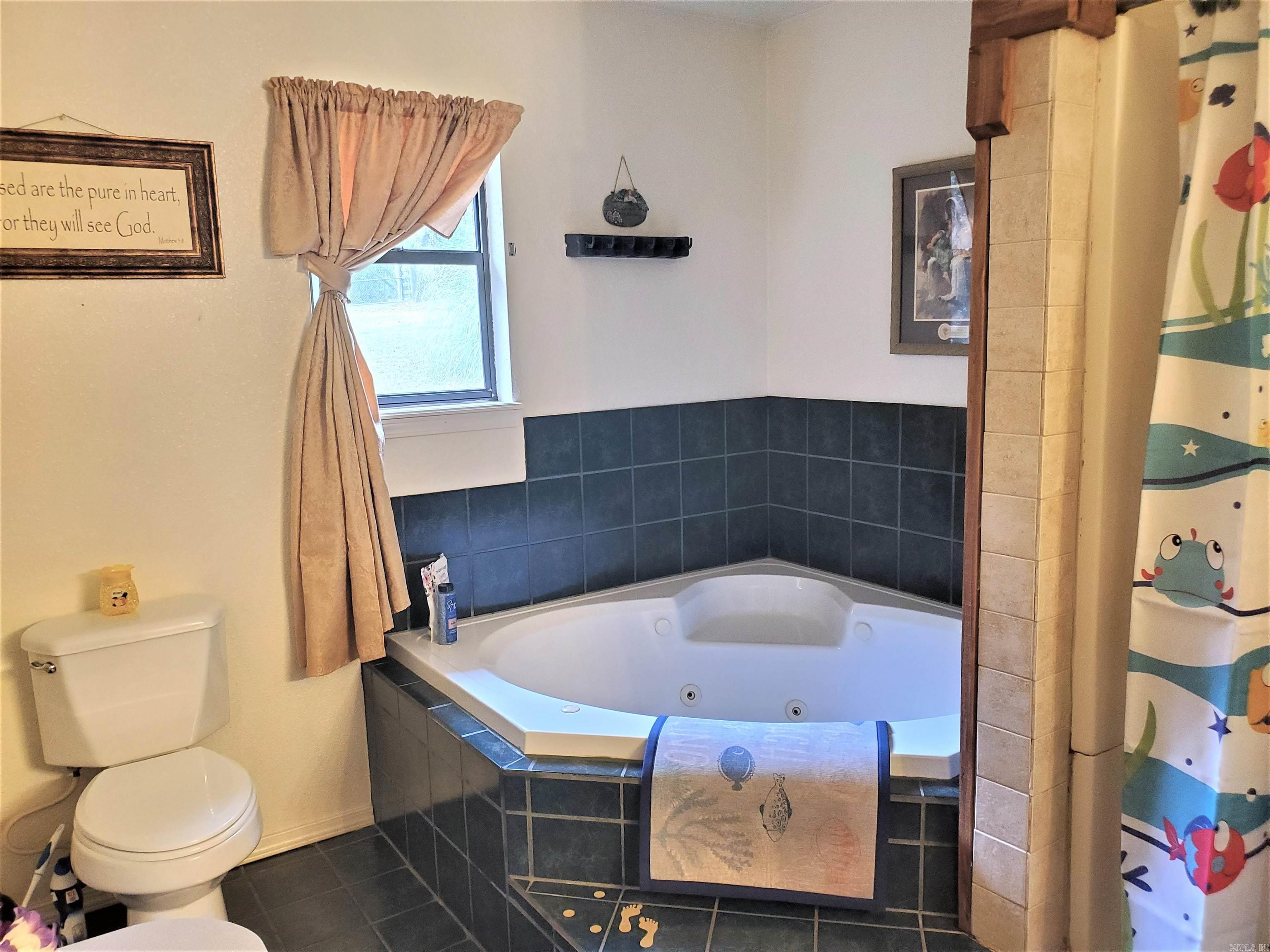289  Hwy 375 East  Mena, AR