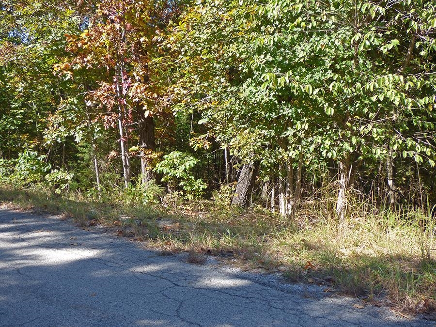   Saginaw  Cherokee Village, AR