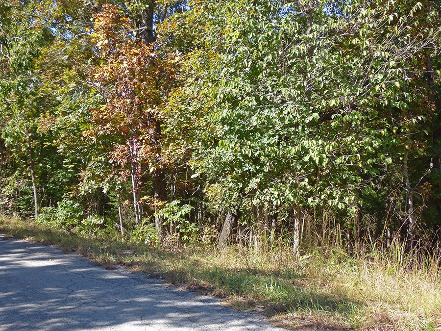   Saginaw  Cherokee Village, AR