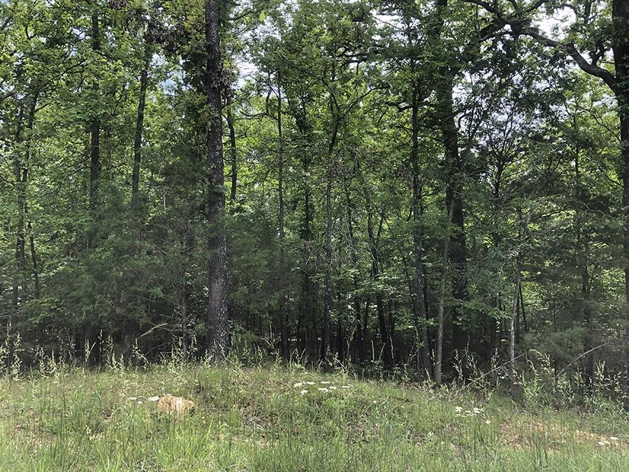   Algonquin  Cherokee Village, AR