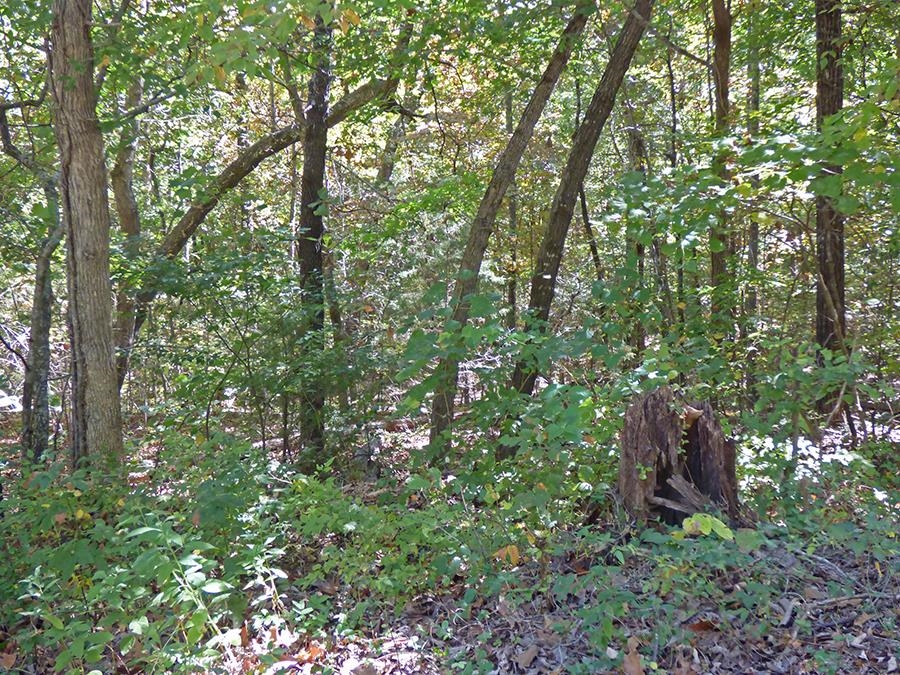   Yuma  Cherokee Village, AR