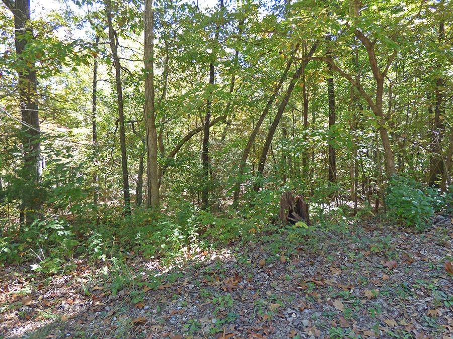   Yuma  Cherokee Village, AR