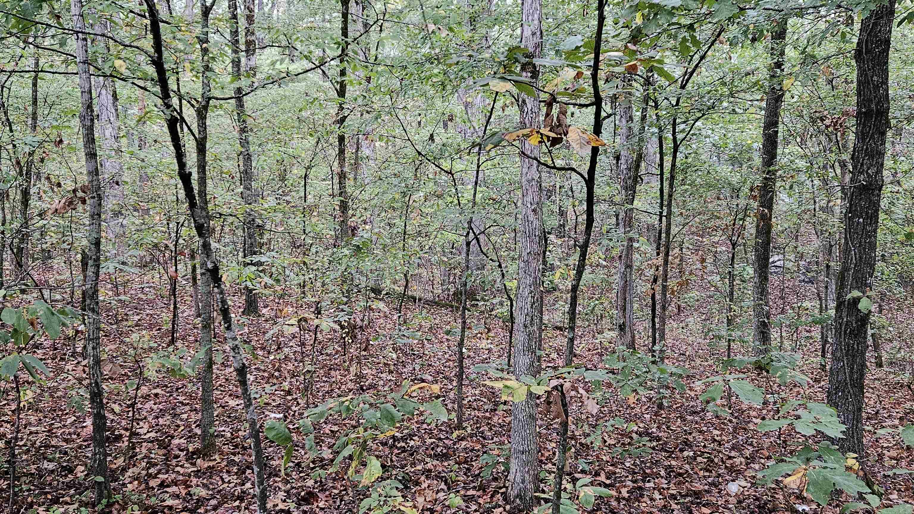 Lots 17-20  Loomis Landing  De Valls Bluff, AR