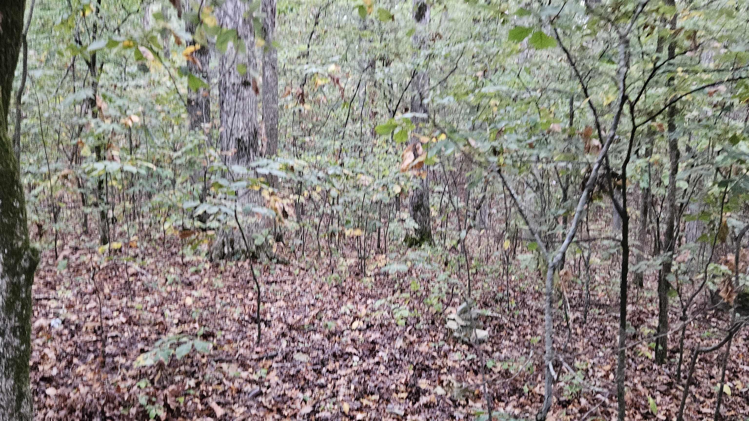 Lots 17-20  Loomis Landing  De Valls Bluff, AR