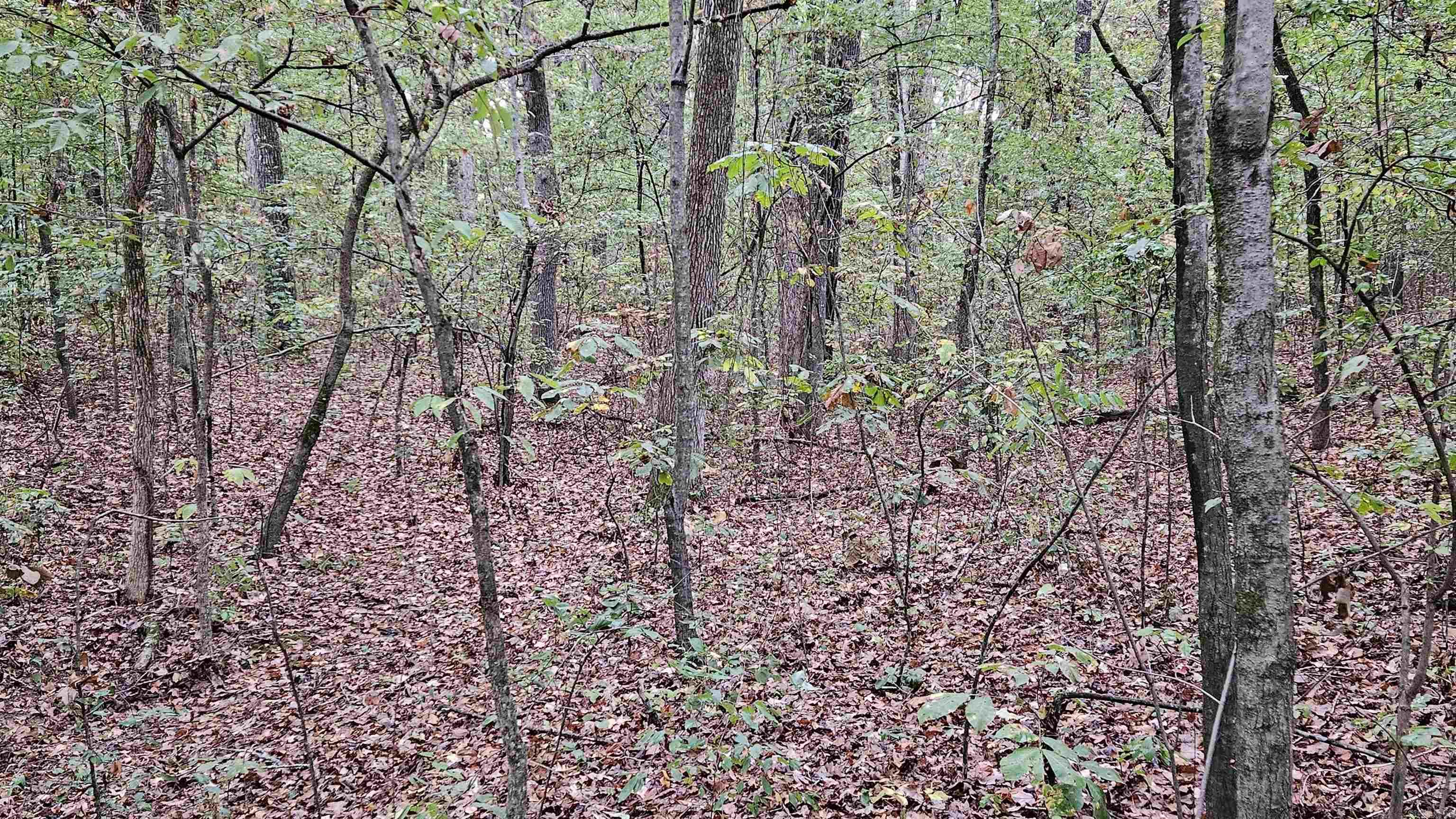 Lots 17-20  Loomis Landing  De Valls Bluff, AR