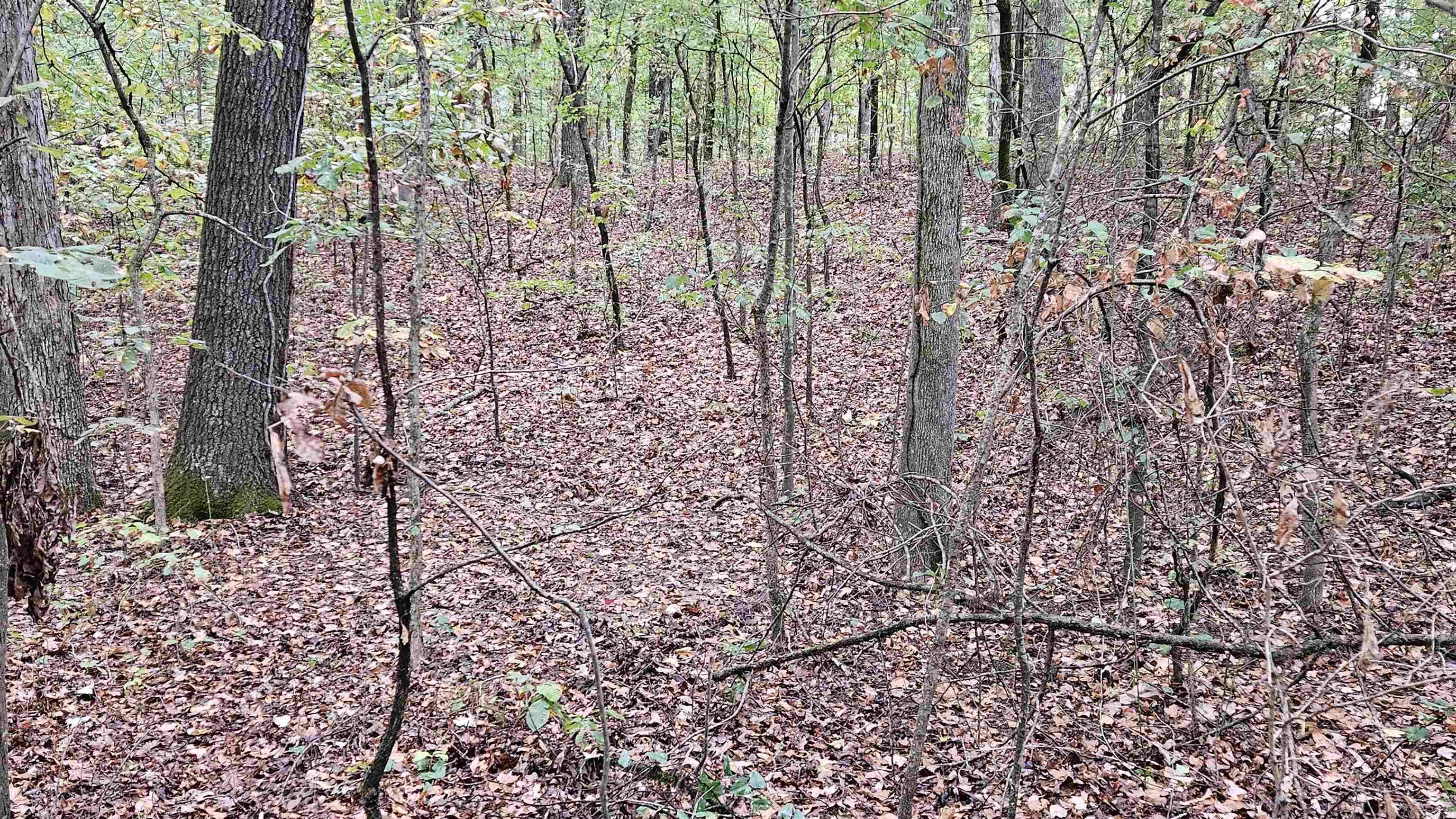 Lots 17-20  Loomis Landing  De Valls Bluff, AR