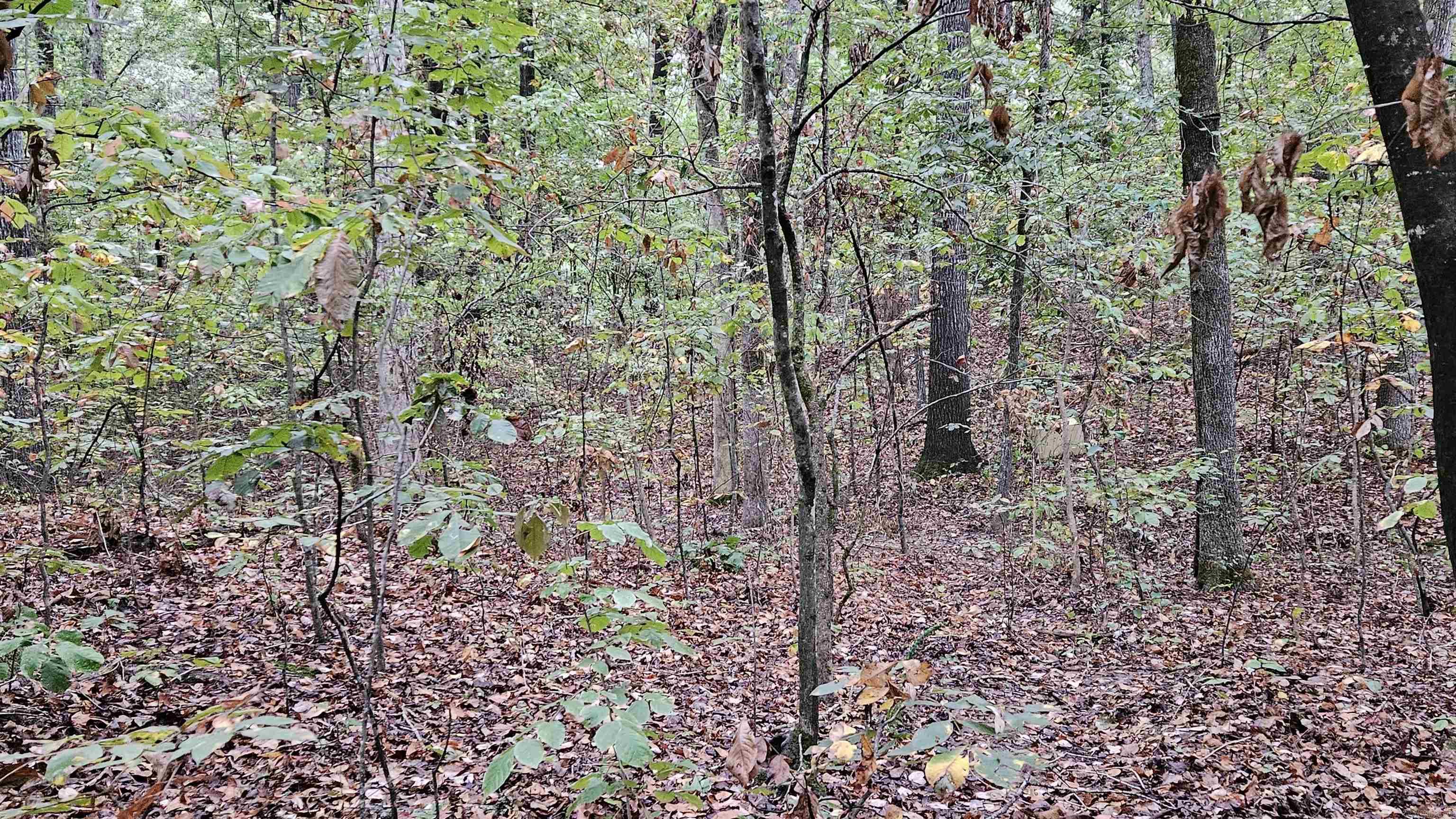 Lots 17-20  Loomis Landing  De Valls Bluff, AR
