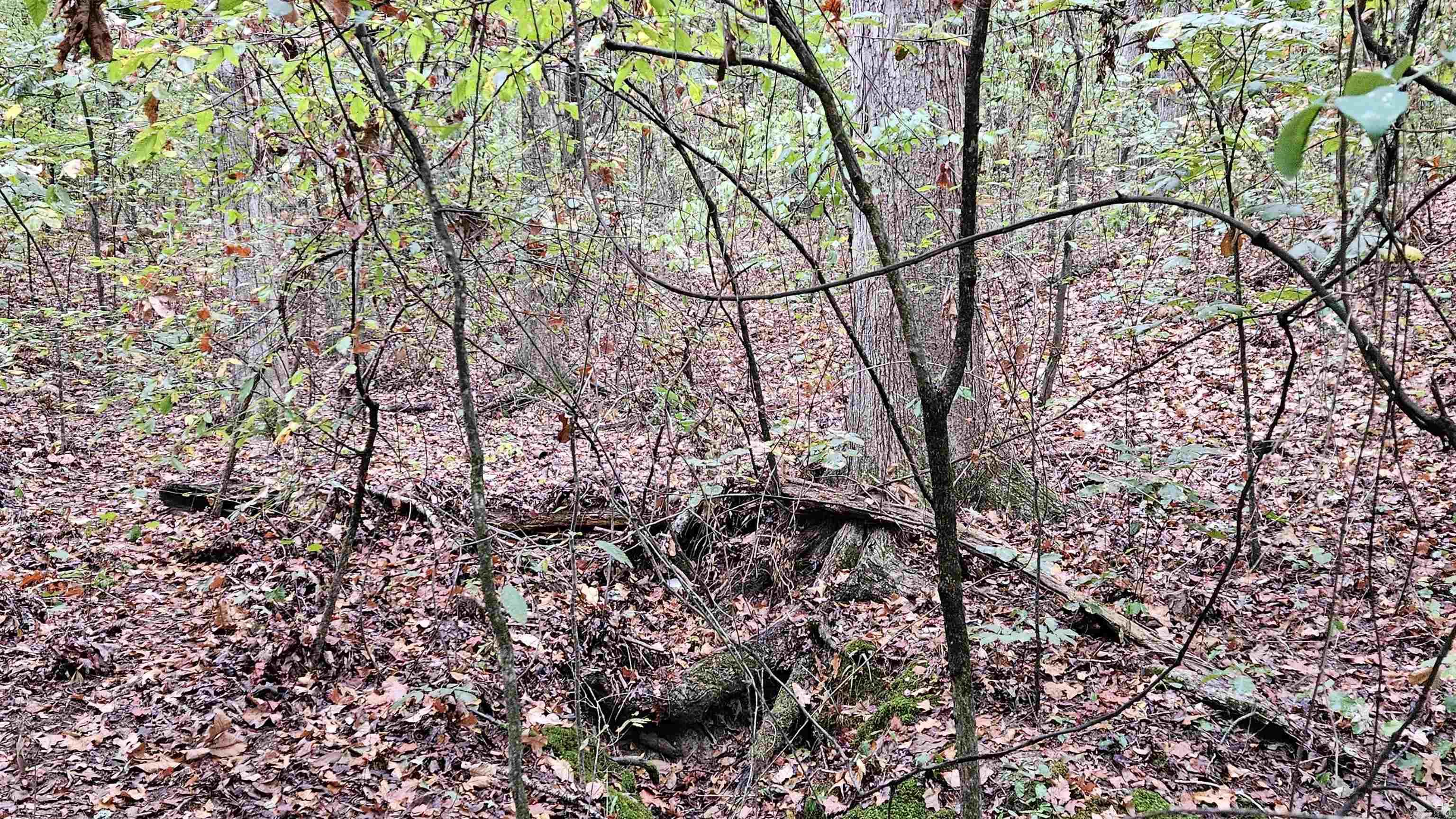 Lots 17-20  Loomis Landing  De Valls Bluff, AR