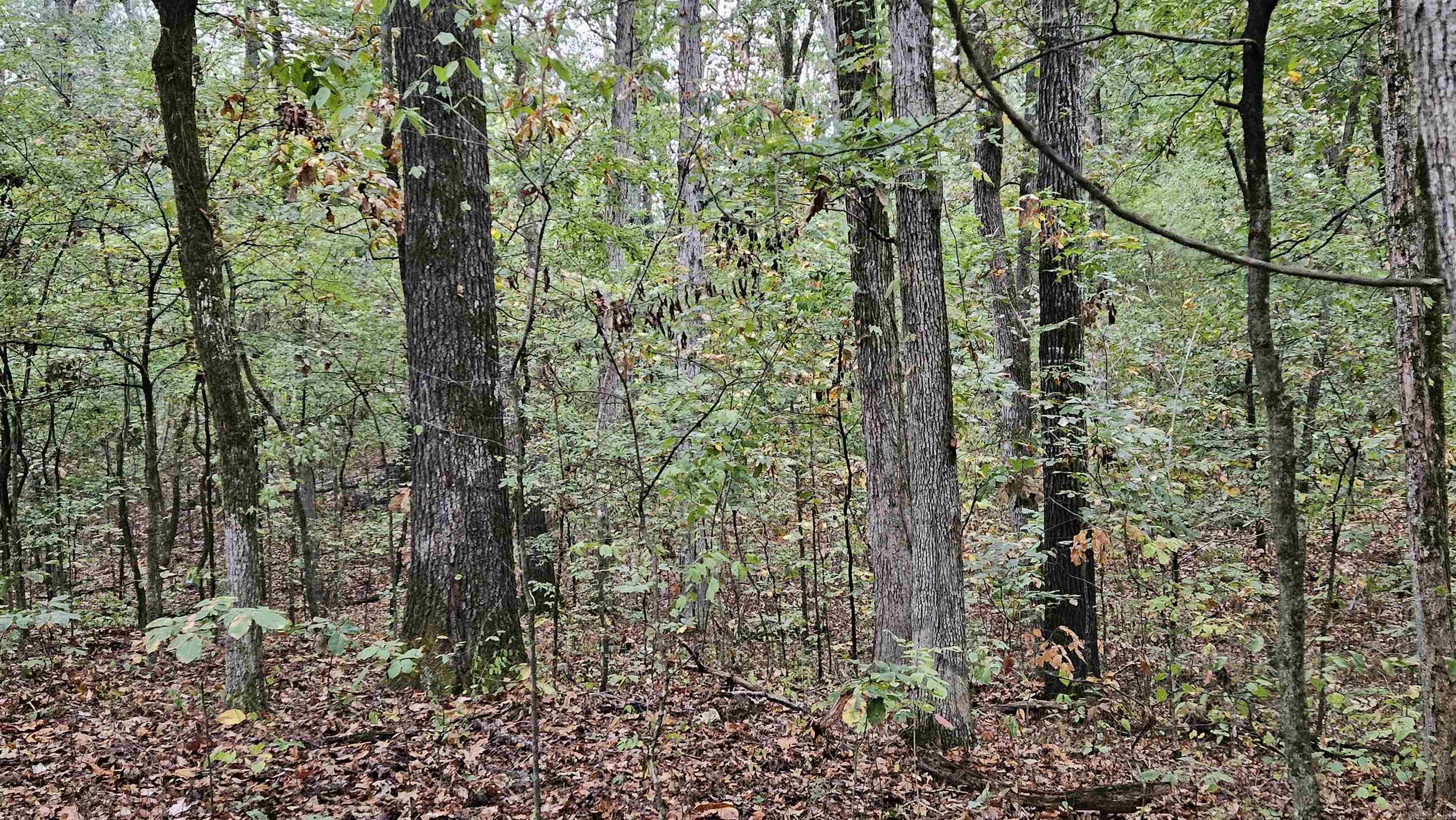 Lots 17-20  Loomis Landing  De Valls Bluff, AR
